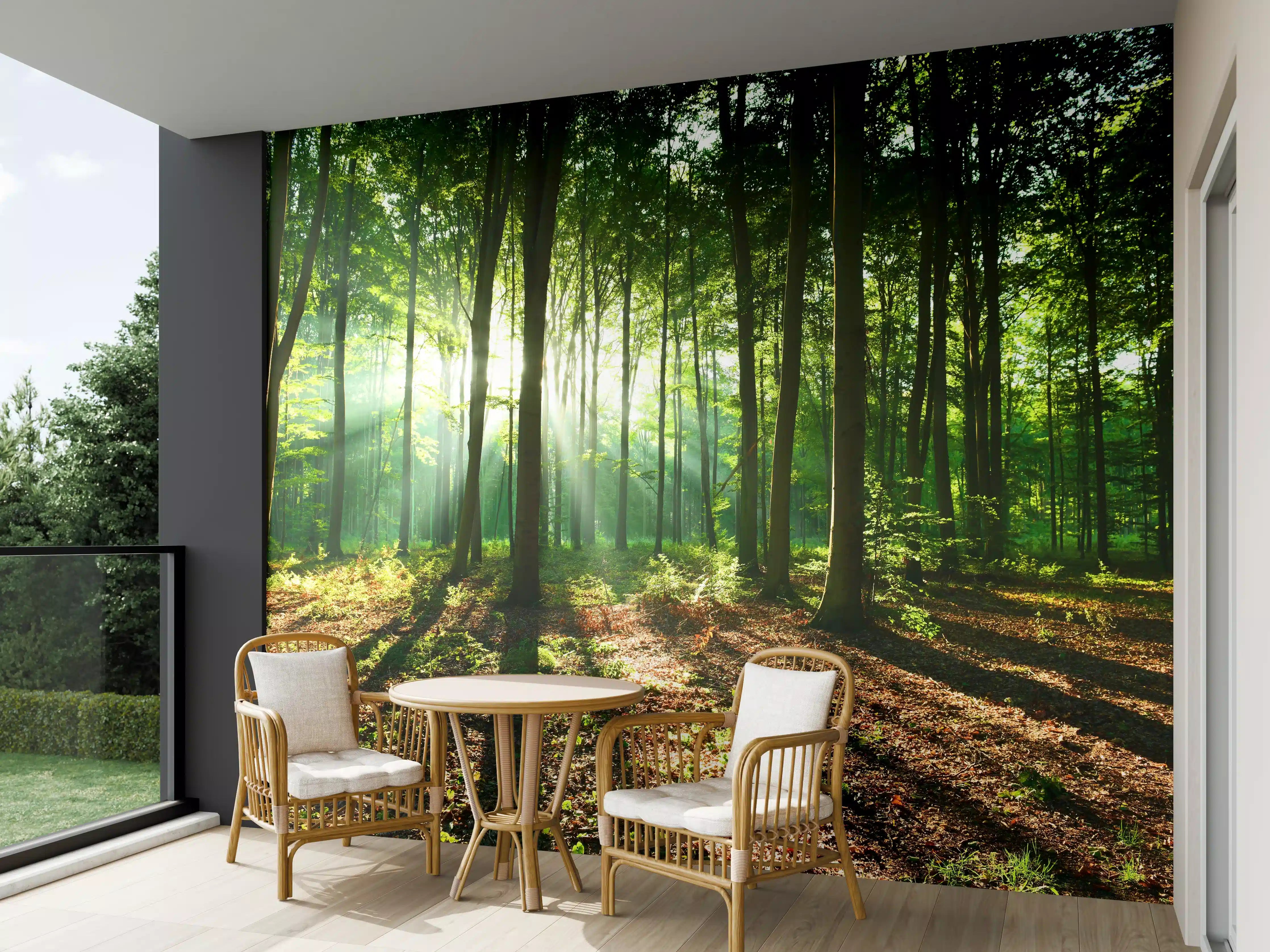 Wandverkleidung außen - Sonnenaufgang im Bayrischem Wald