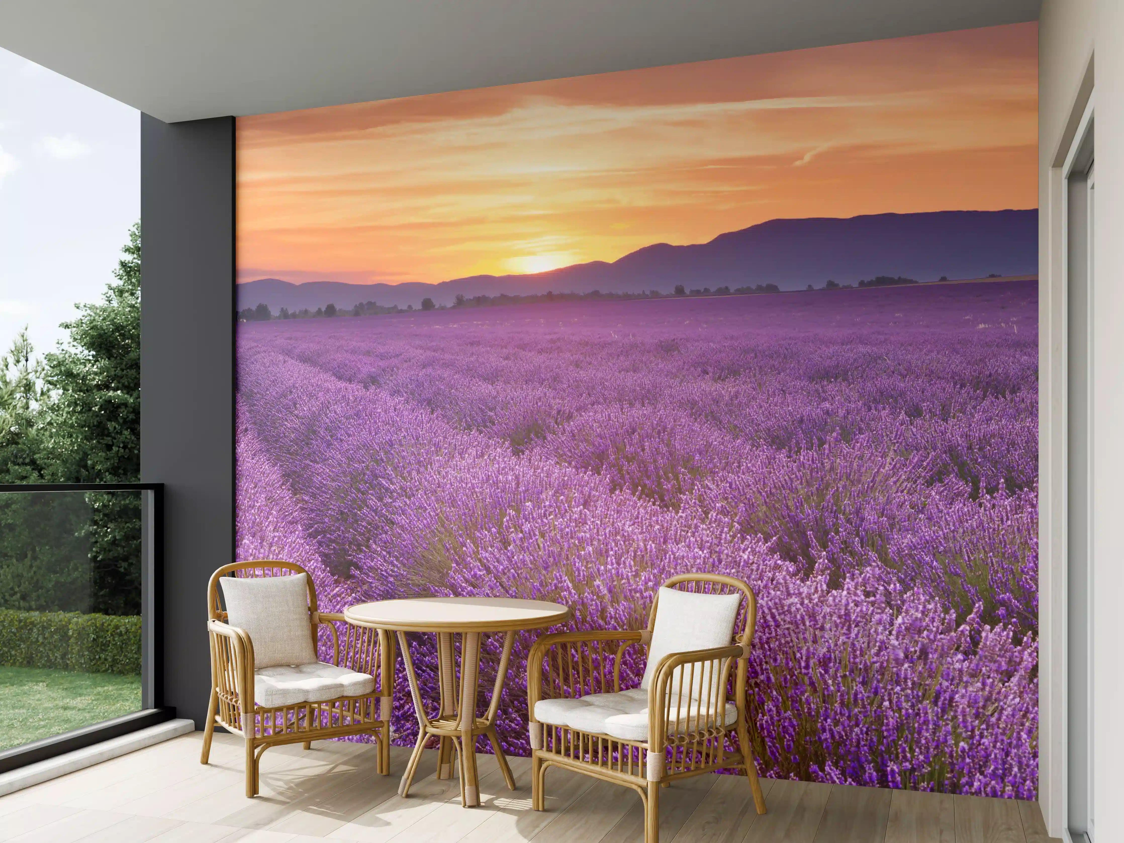 Wandverkleidung außen - Sonnenaufgang über Lavendelfelder - Provence