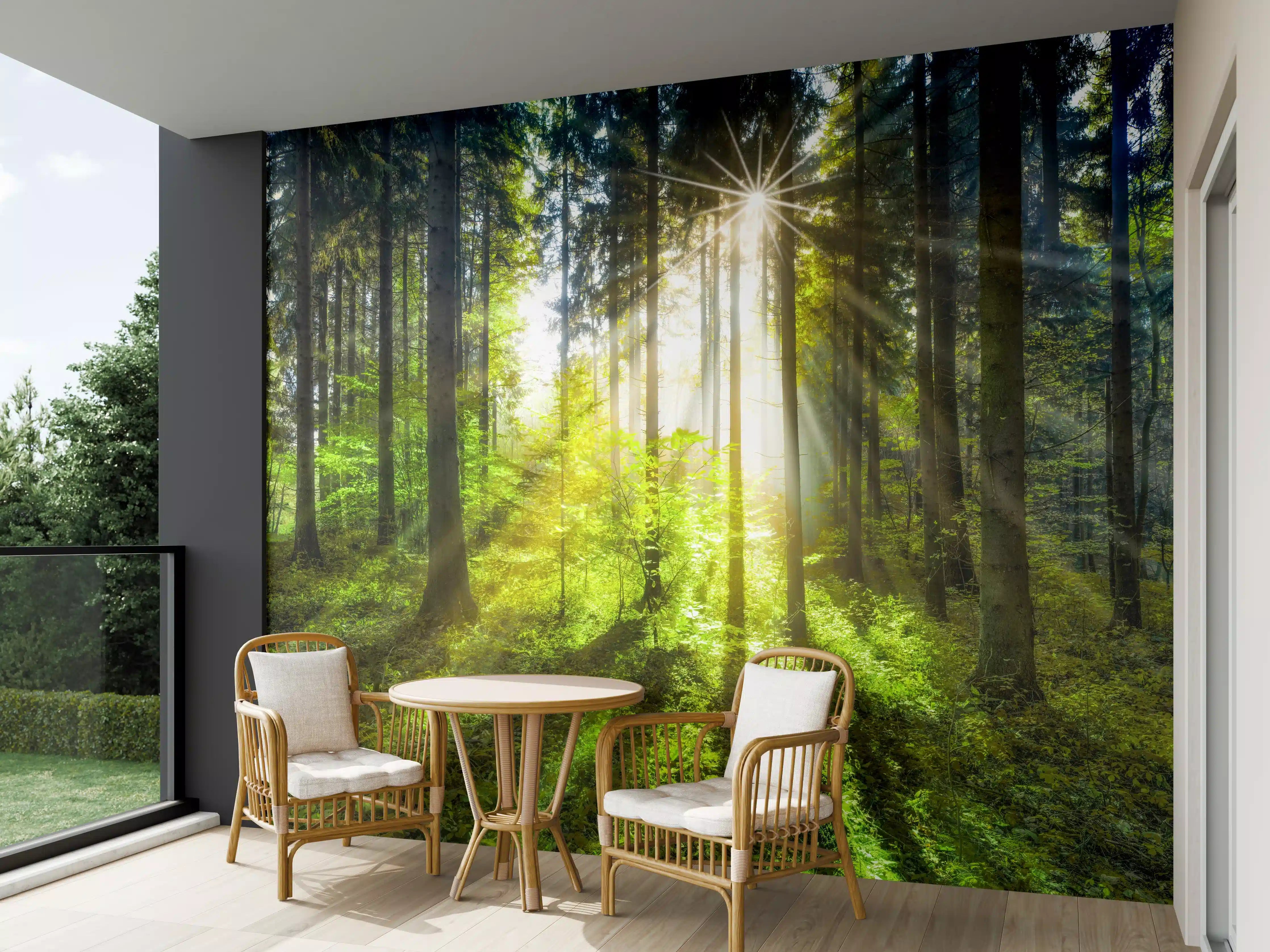 Wandverkleidung außen - Sonnenstrahlen im lebendigem Wald 