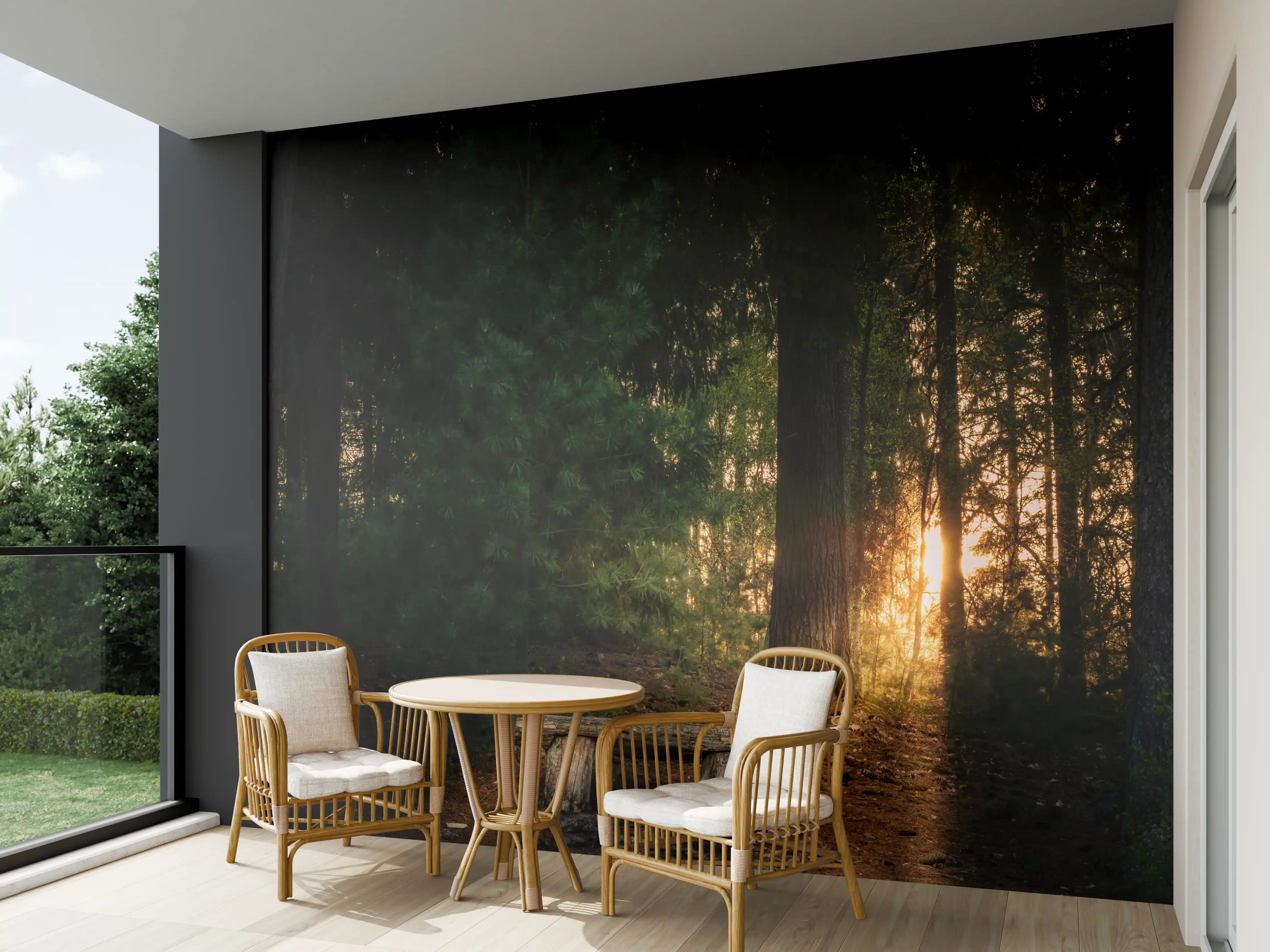 Wandverkleidung außen - Sonnenuntergang im Wald - Lüneburger Heide