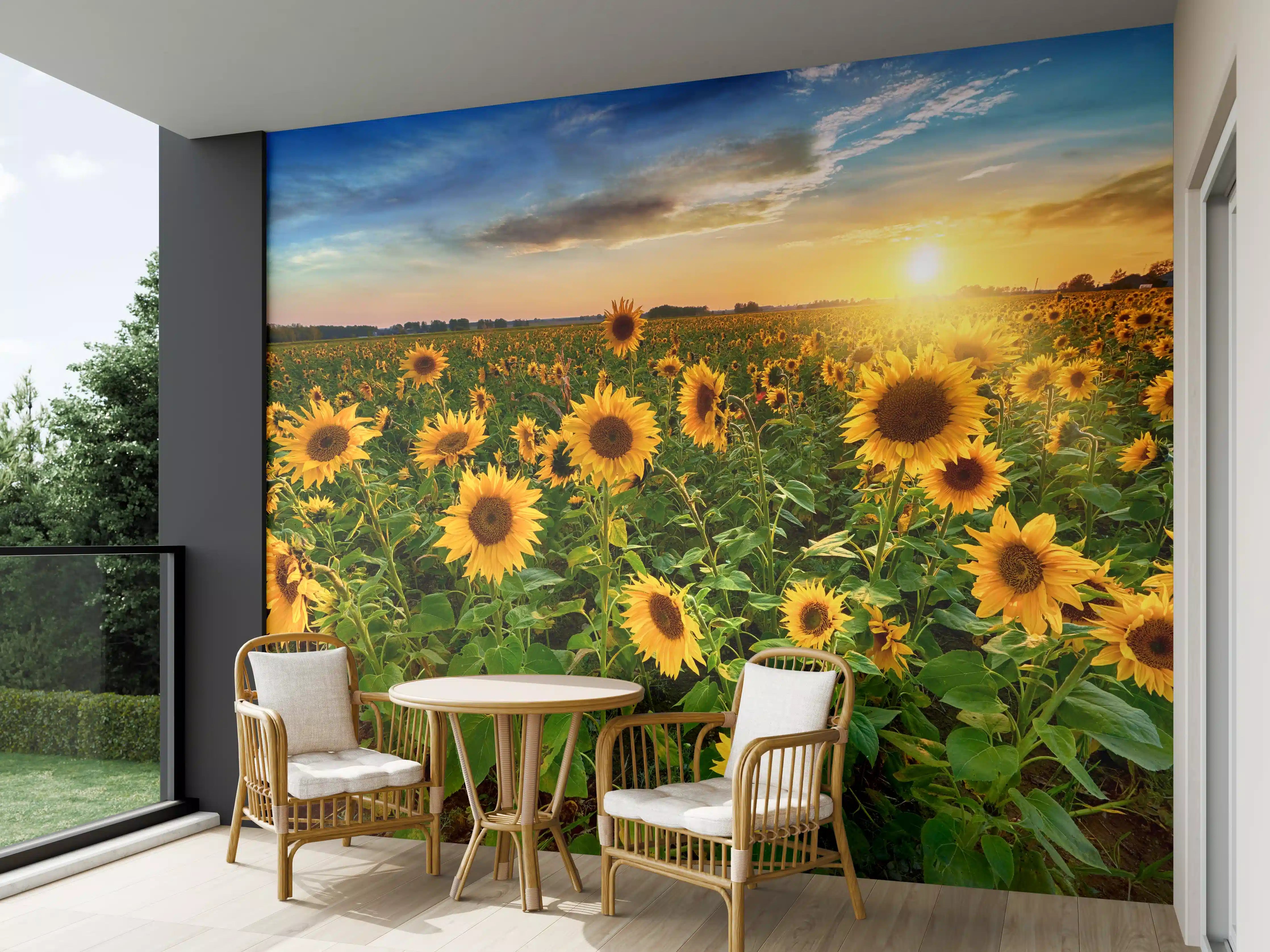 Wandverkleidung außen - Sonnenuntergang über Sonnenblumenfeld in Hessen
