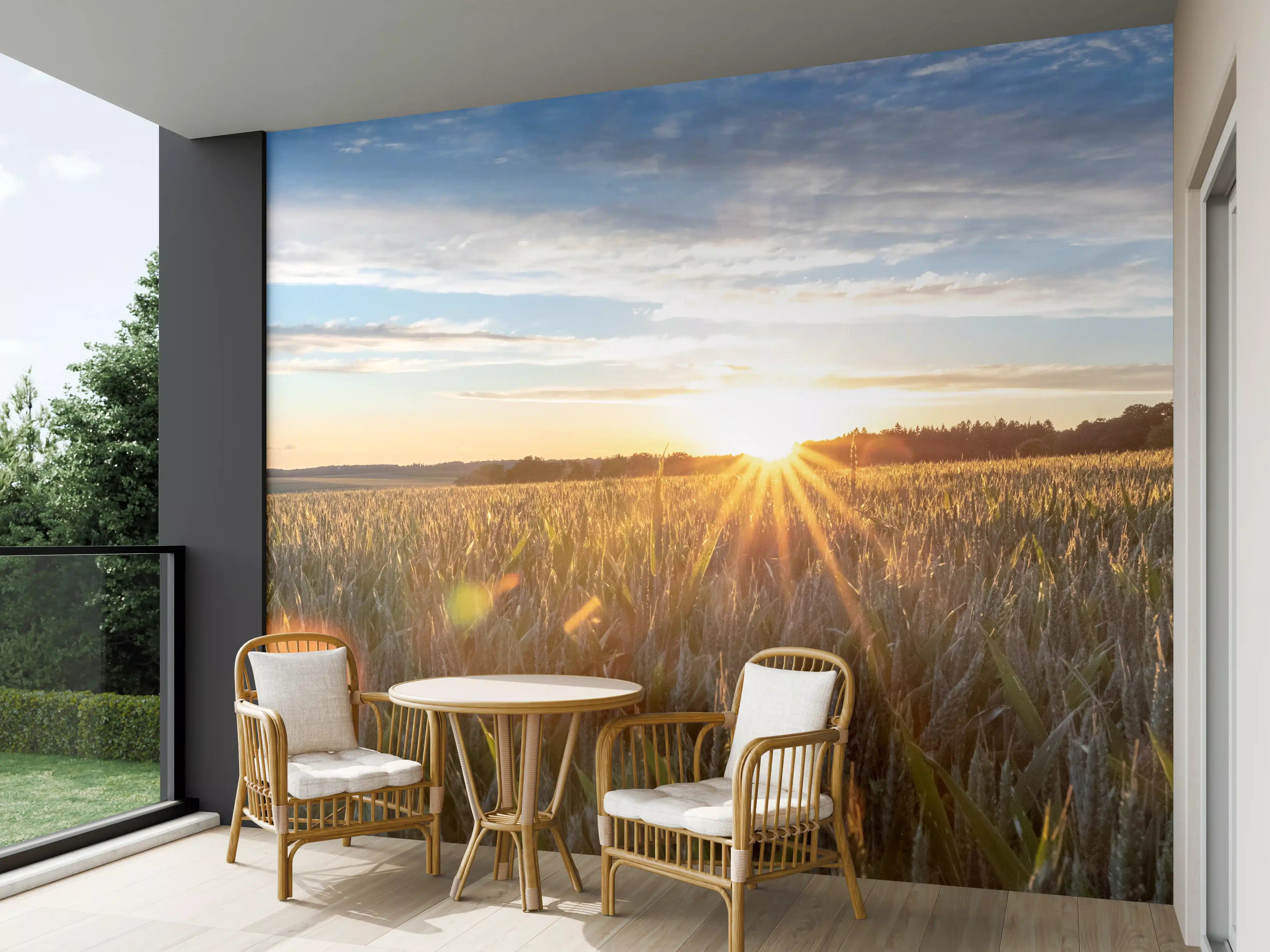 Wandverkleidung außen - Sonnenuntergang über einem Kornfeld