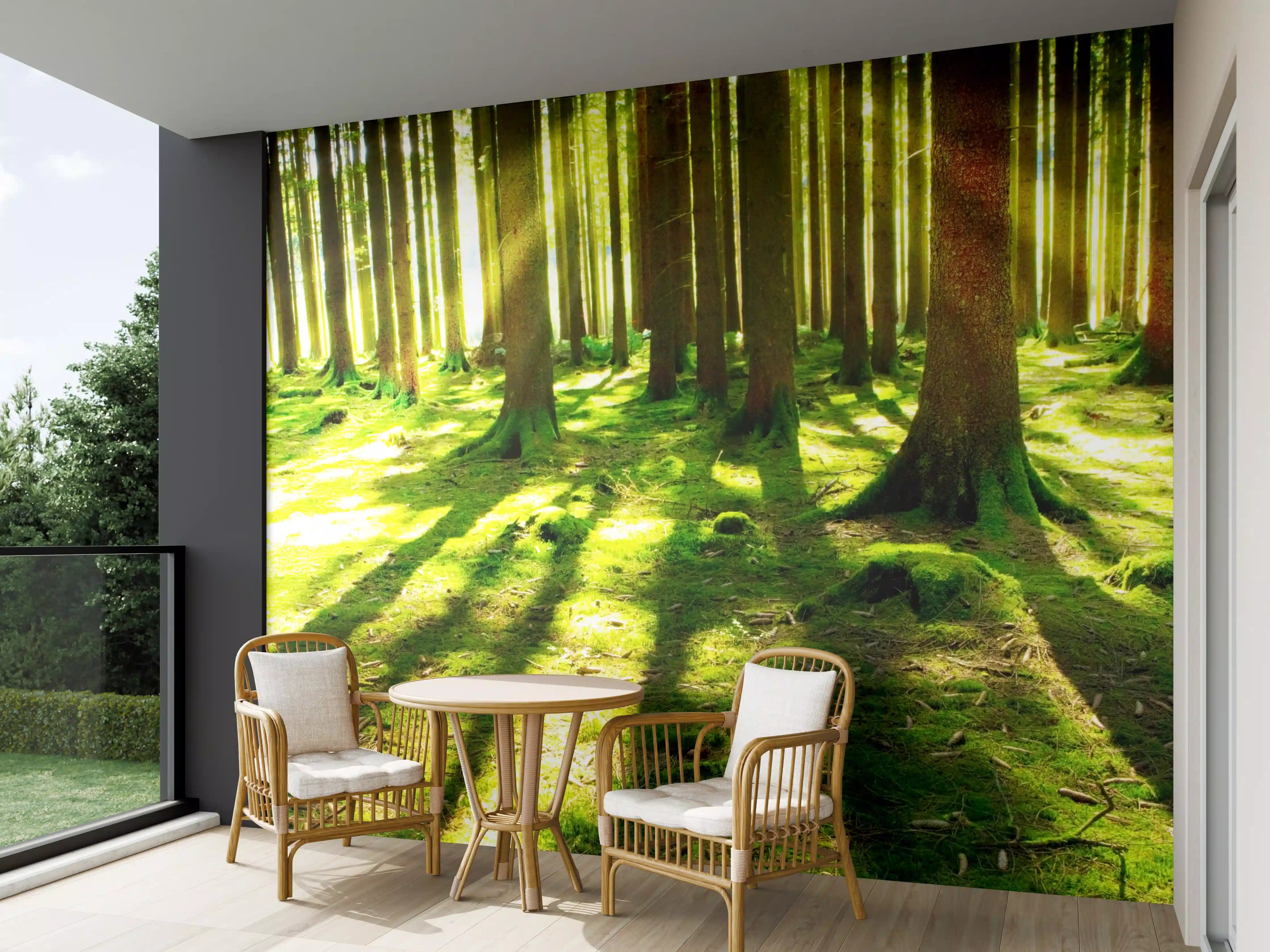 Wandverkleidung außen - Sonnige Waldlichtung mit Sonnenstrahlen
