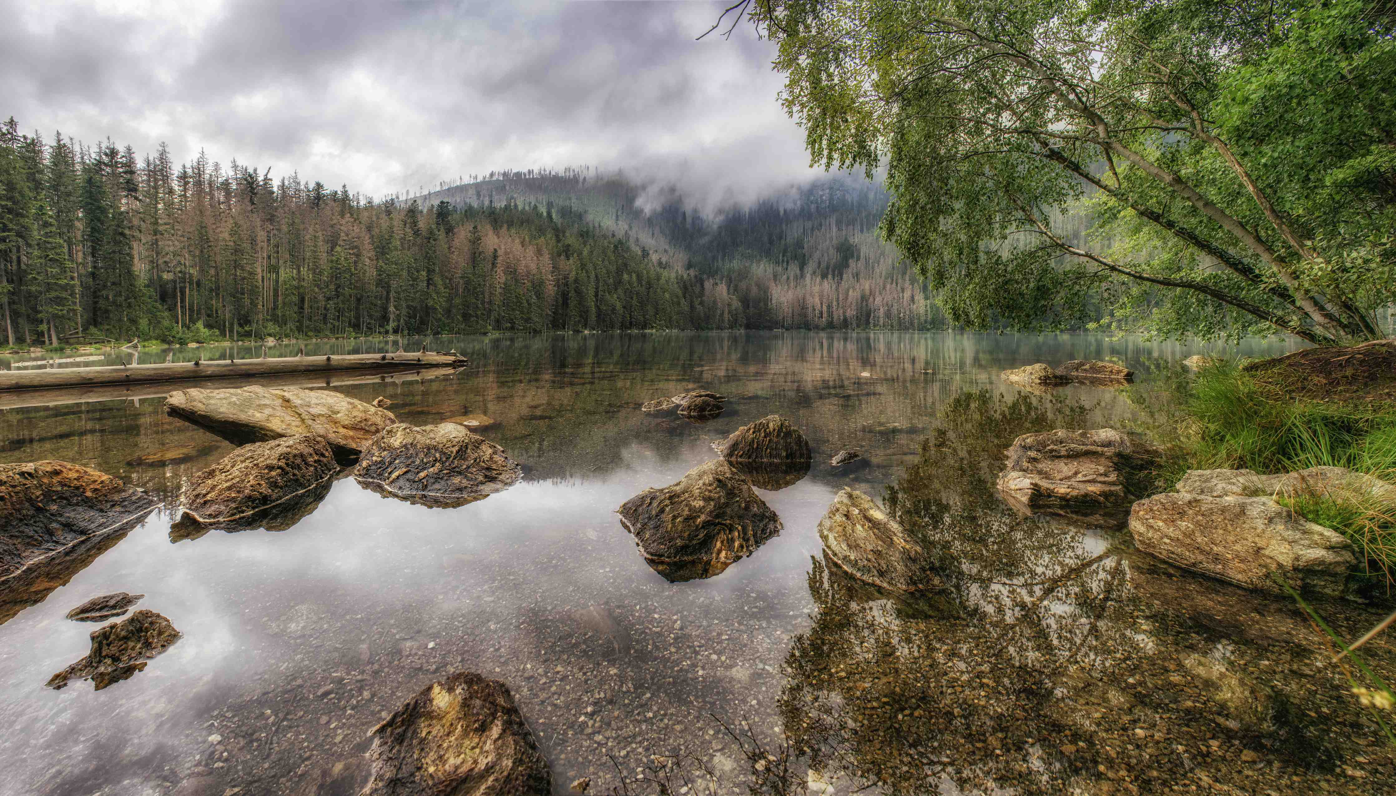 Wandverkleidung außen-Sumava - Schwarzer See - Tschechische Republik