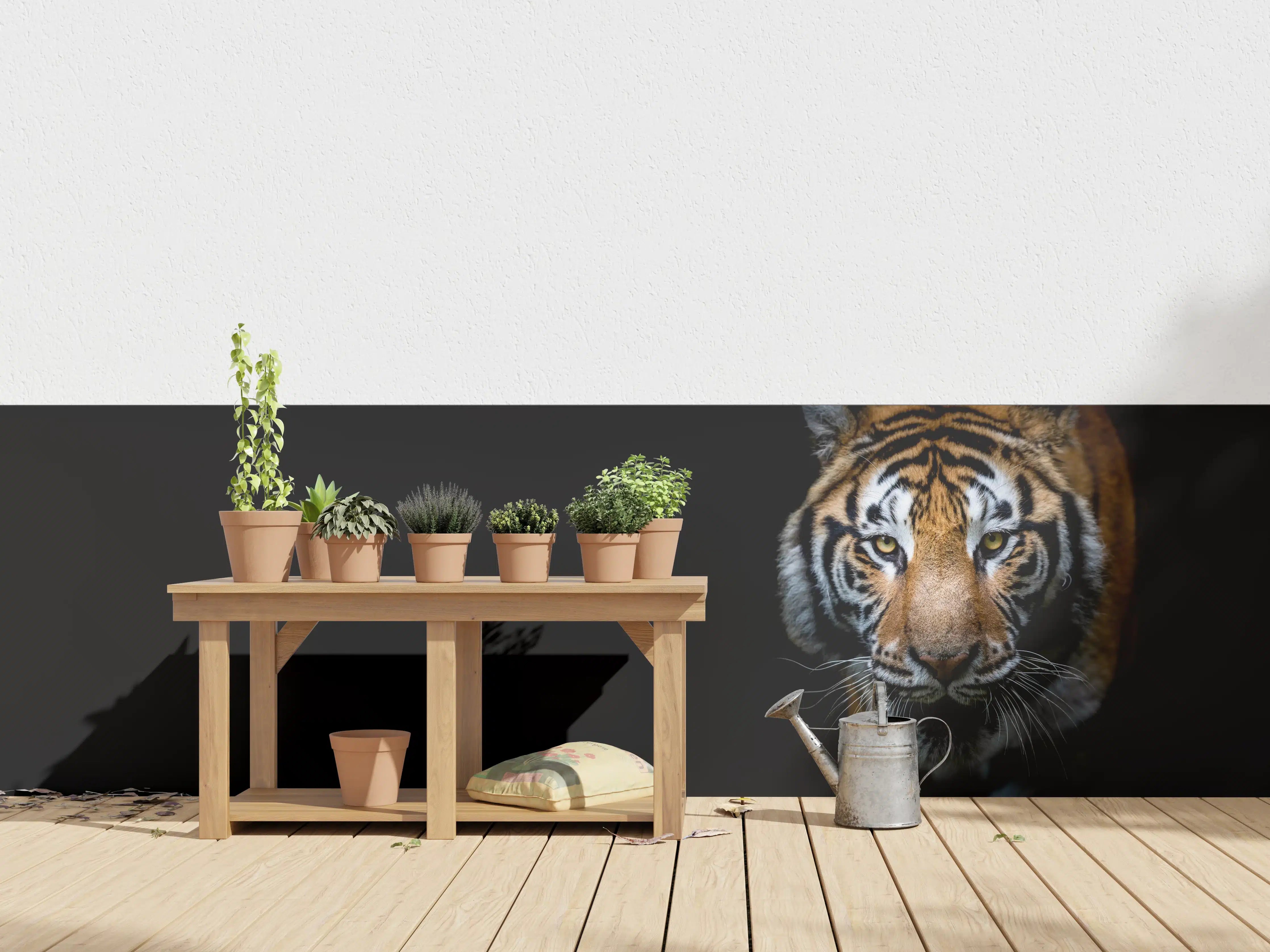 Wandverkleidung außen - Tiger auf schwarzem Hintergrund