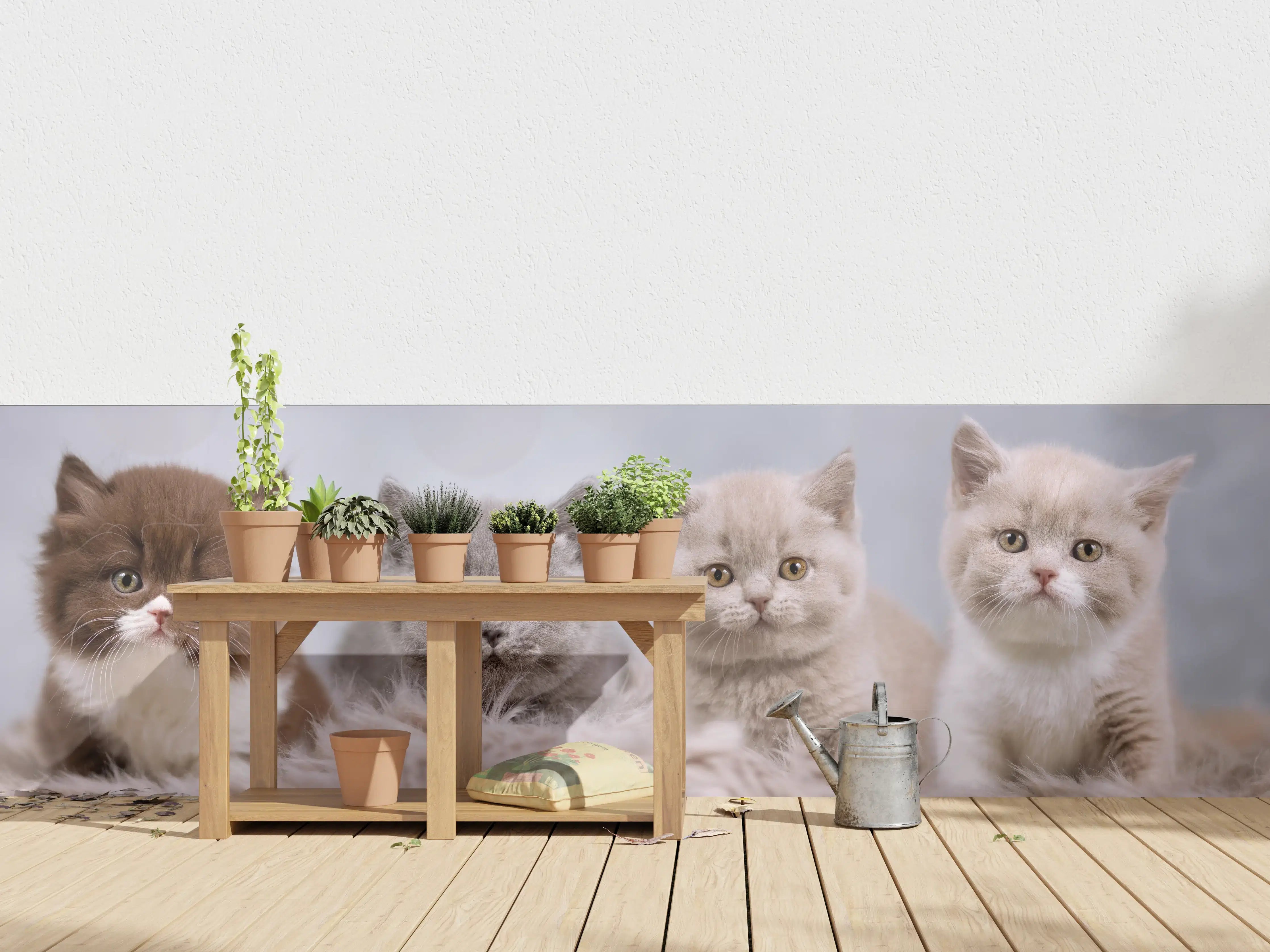 Wandverkleidung außen - Vier süße Katzenbaby