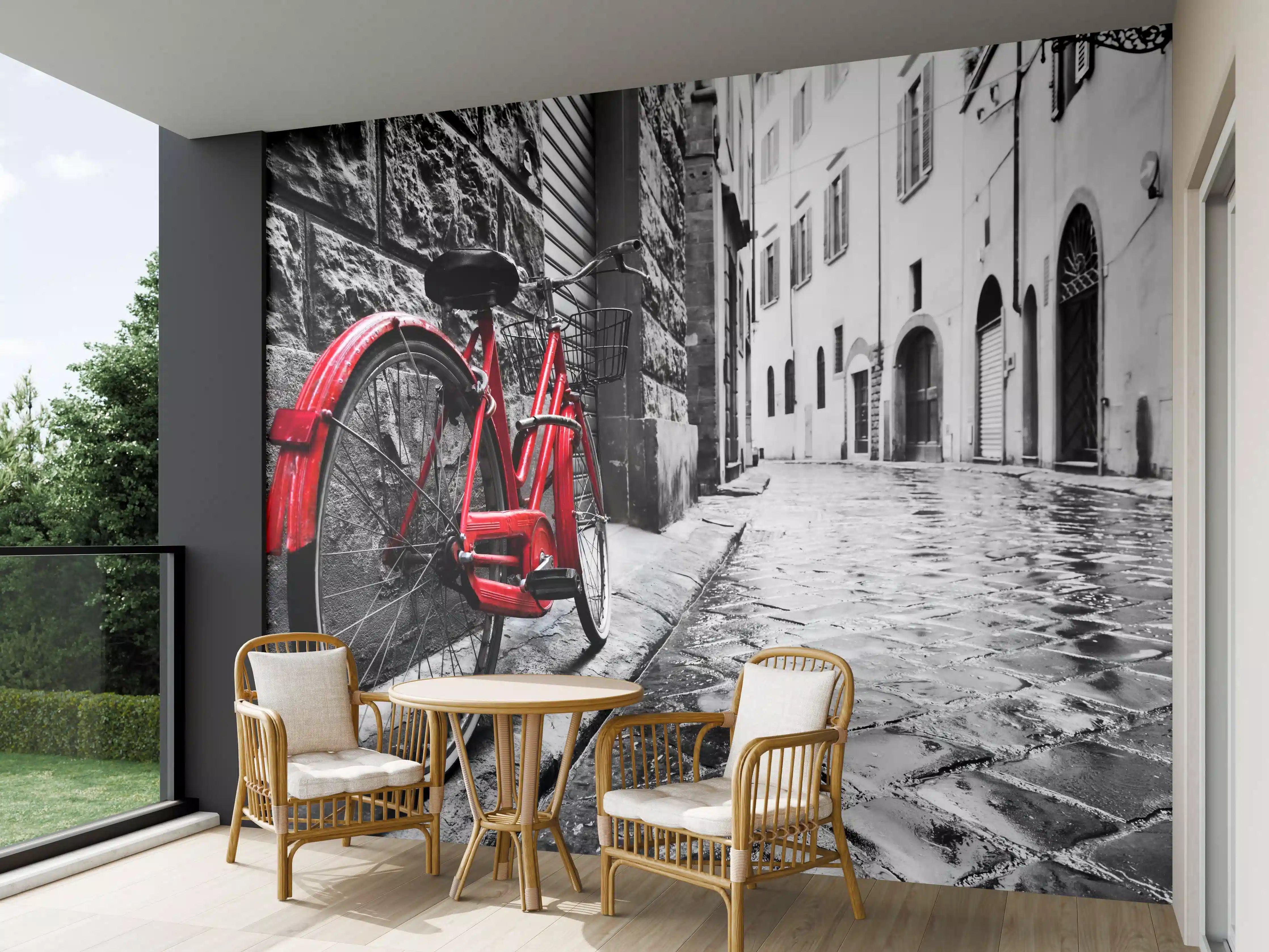 Wandverkleidung außen - Vintage Fahrrad - Altstadt