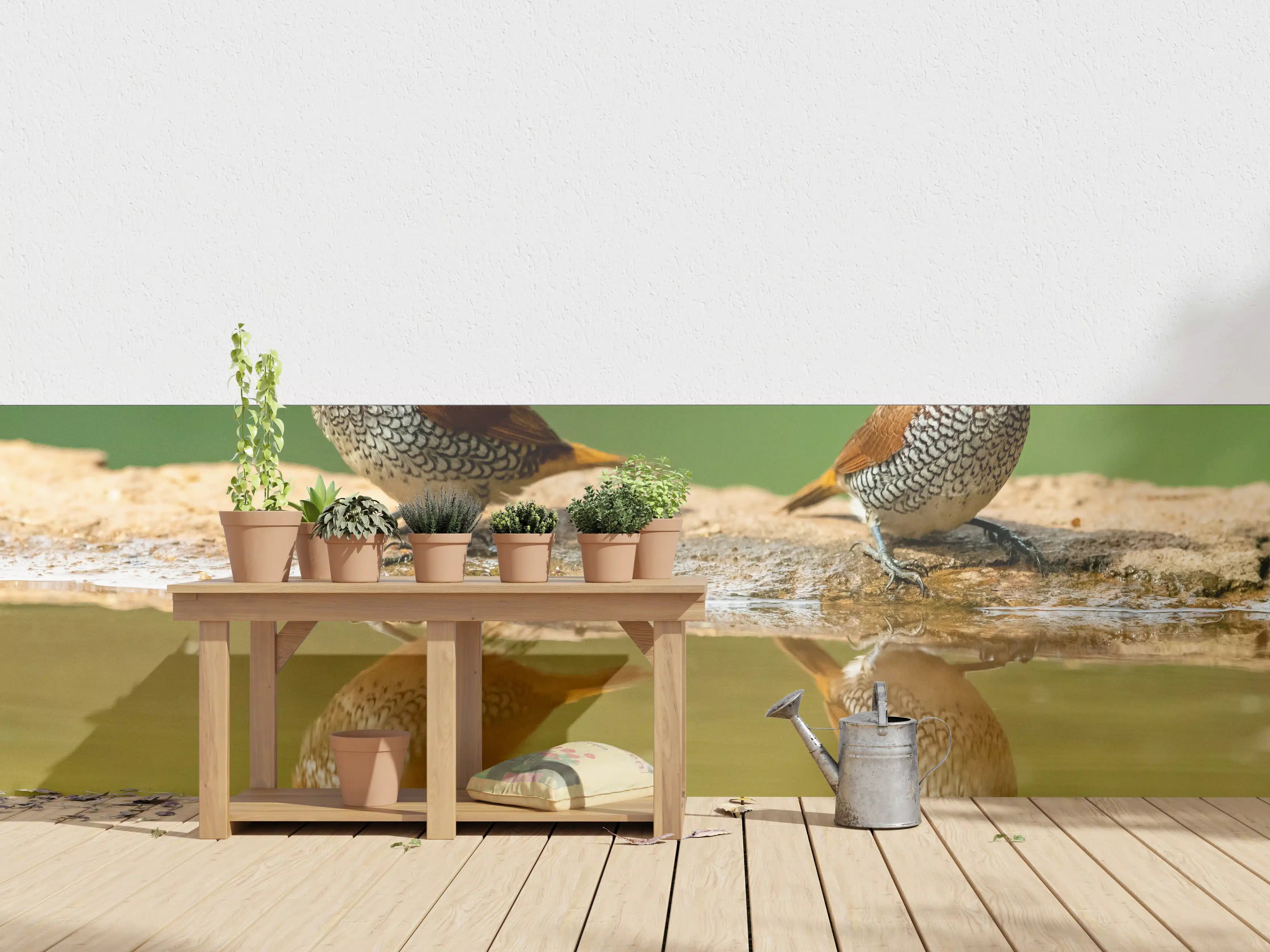 Wandverkleidung außen - Vögel Spiegelung im Wasser