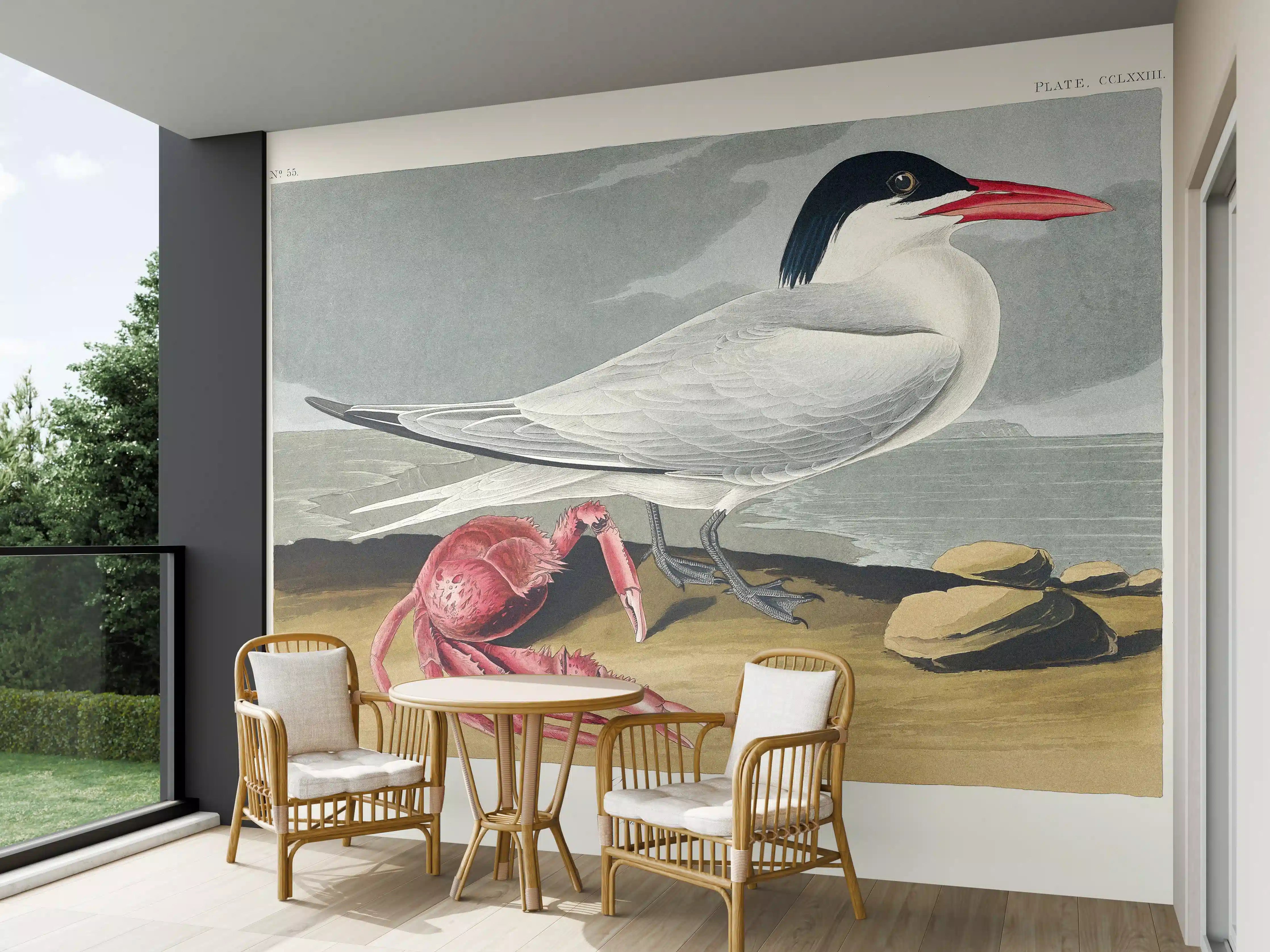 Wandverkleidung außen - Vogel Portrait - Robert Havell