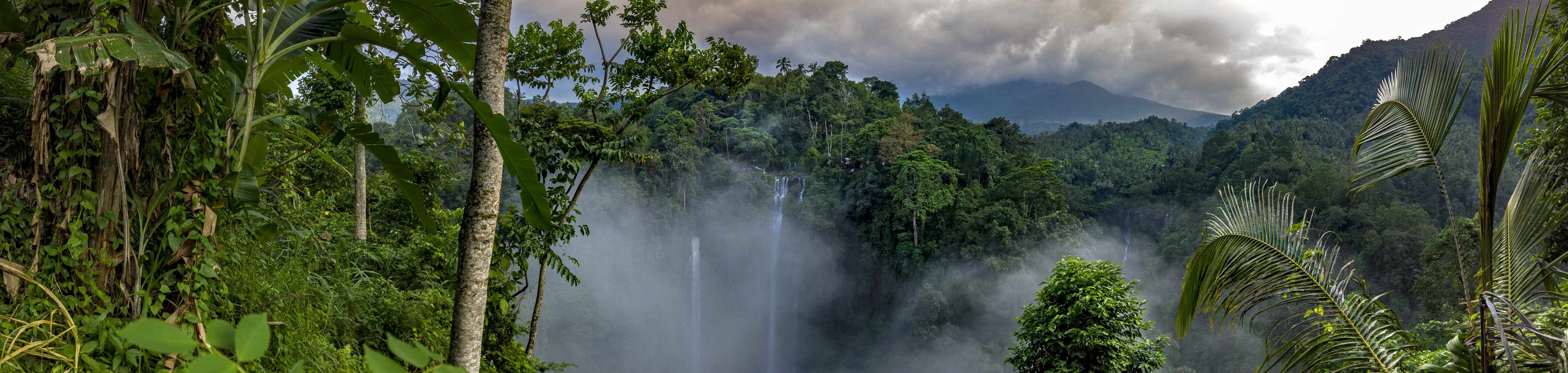 Wandverkleidung außen-Wasserfälle im Regenwald