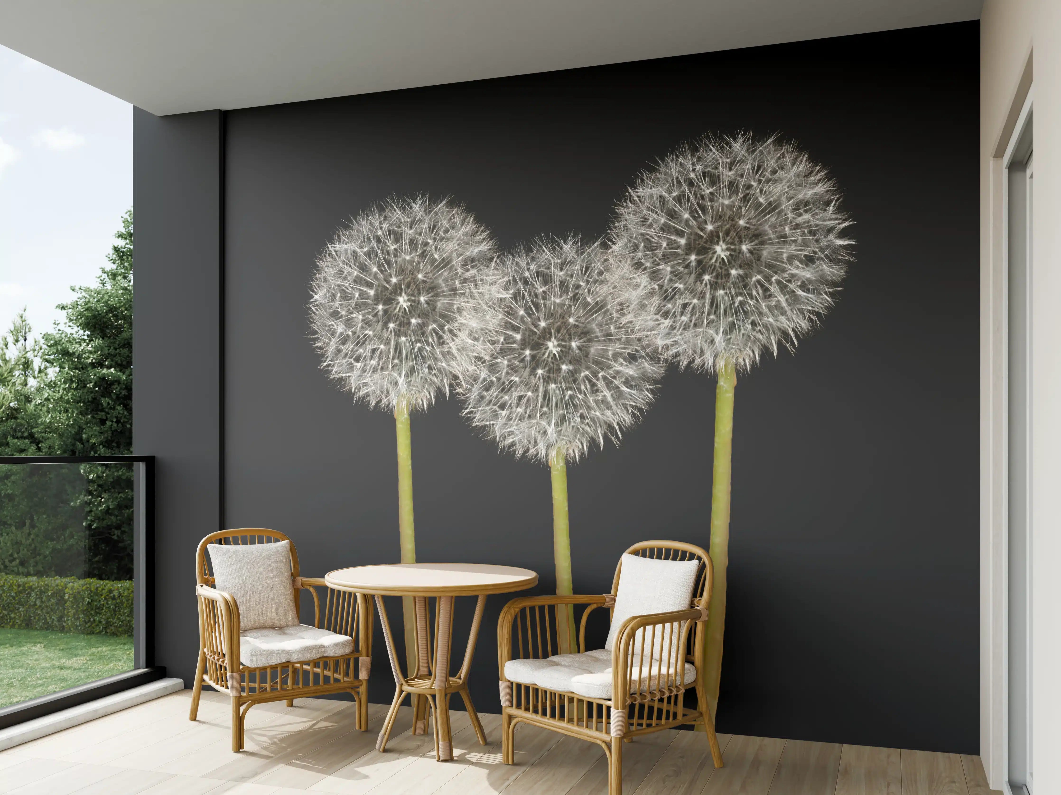 Wandverkleidung außen - Weiße Pusteblumen auf Schwarz