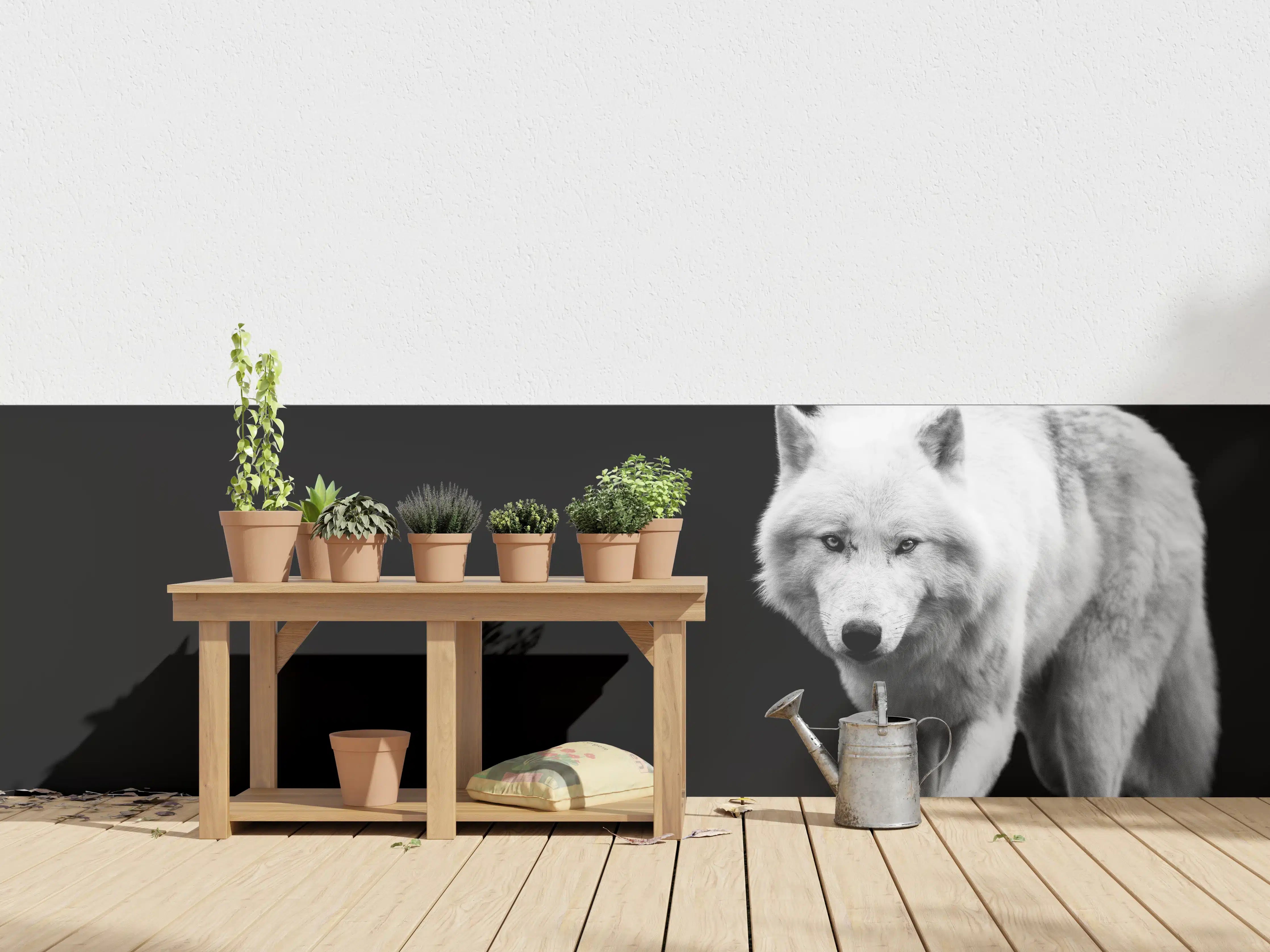 Wandverkleidung außen - Weißer Wolf mit schwarzem Hintergrund