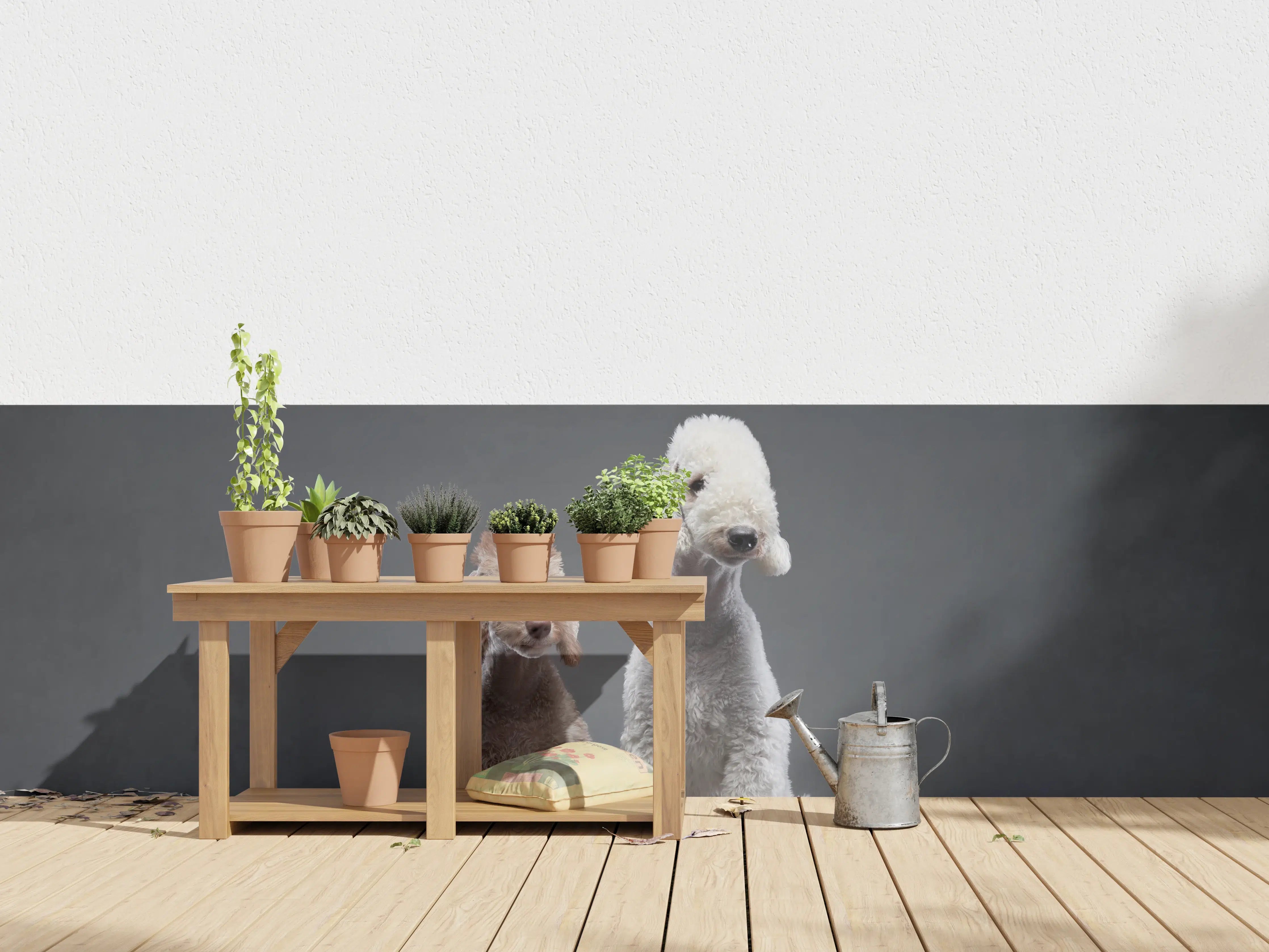 Wandverkleidung außen - Welpe und erwachsener Bedlington Terrier