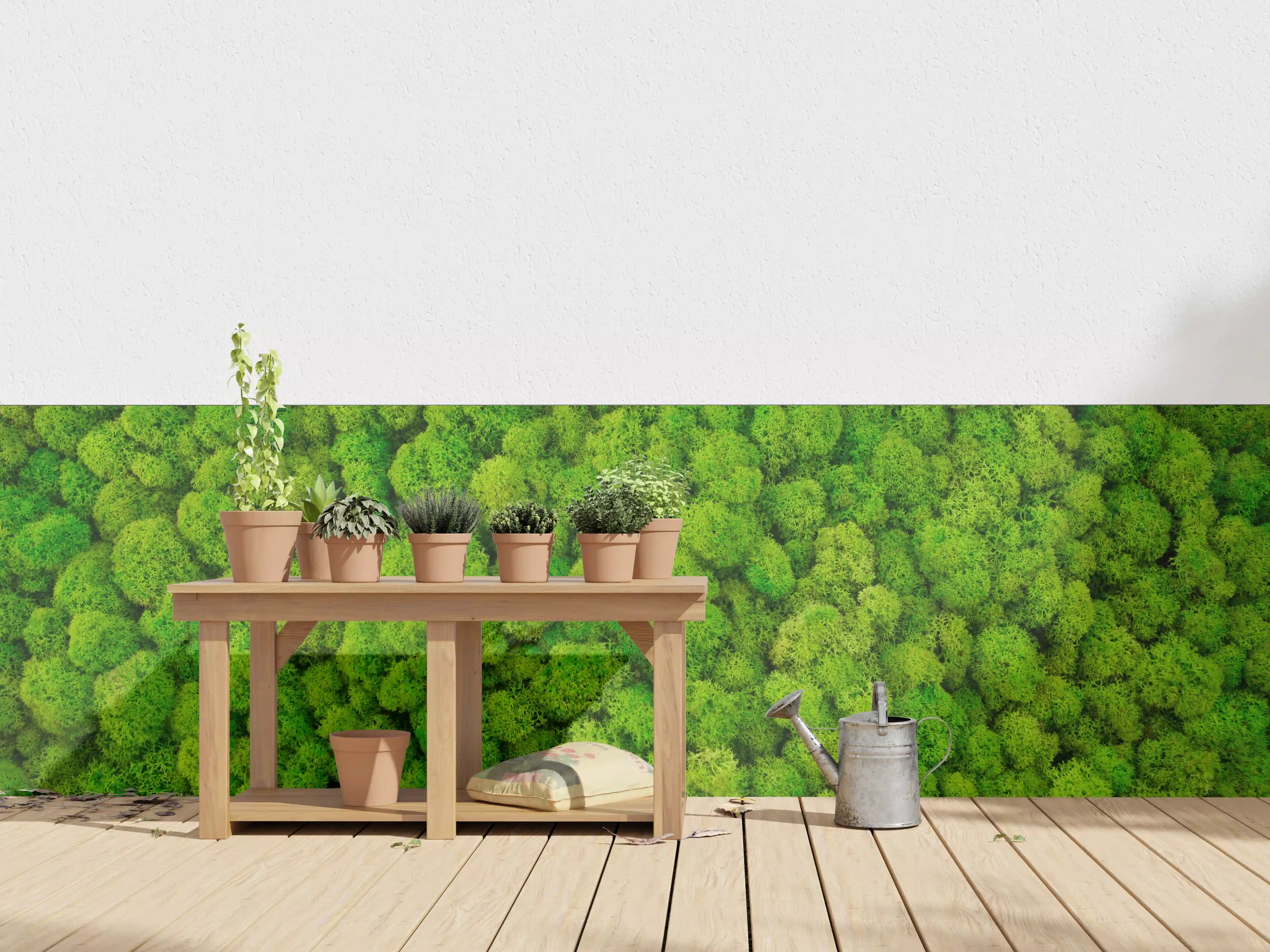 Wandverkleidung außen - dekoratives Moos Design
