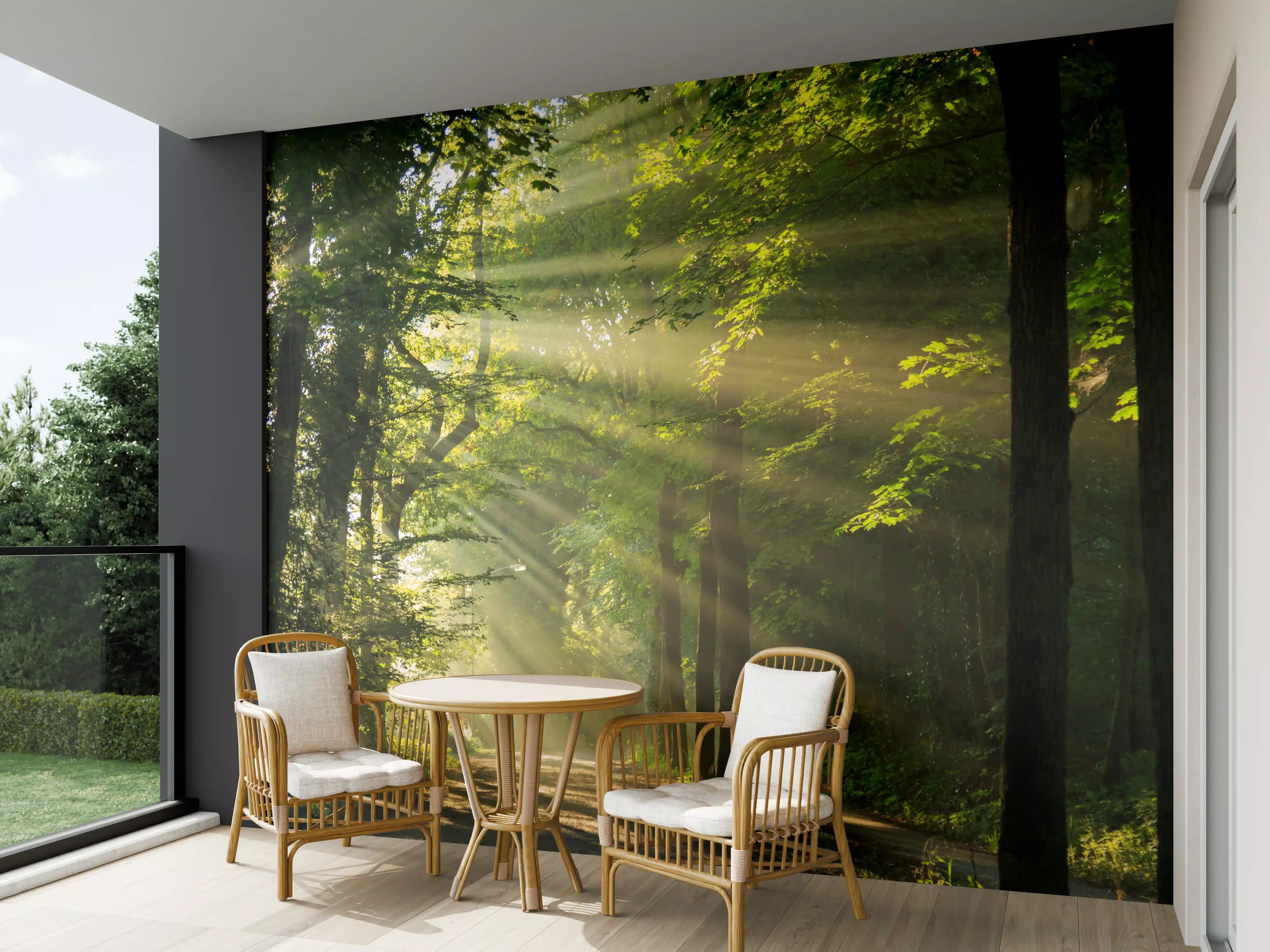 Wandverkleidung außen - erleuchtende Sonnenstrahlen in den Wald 