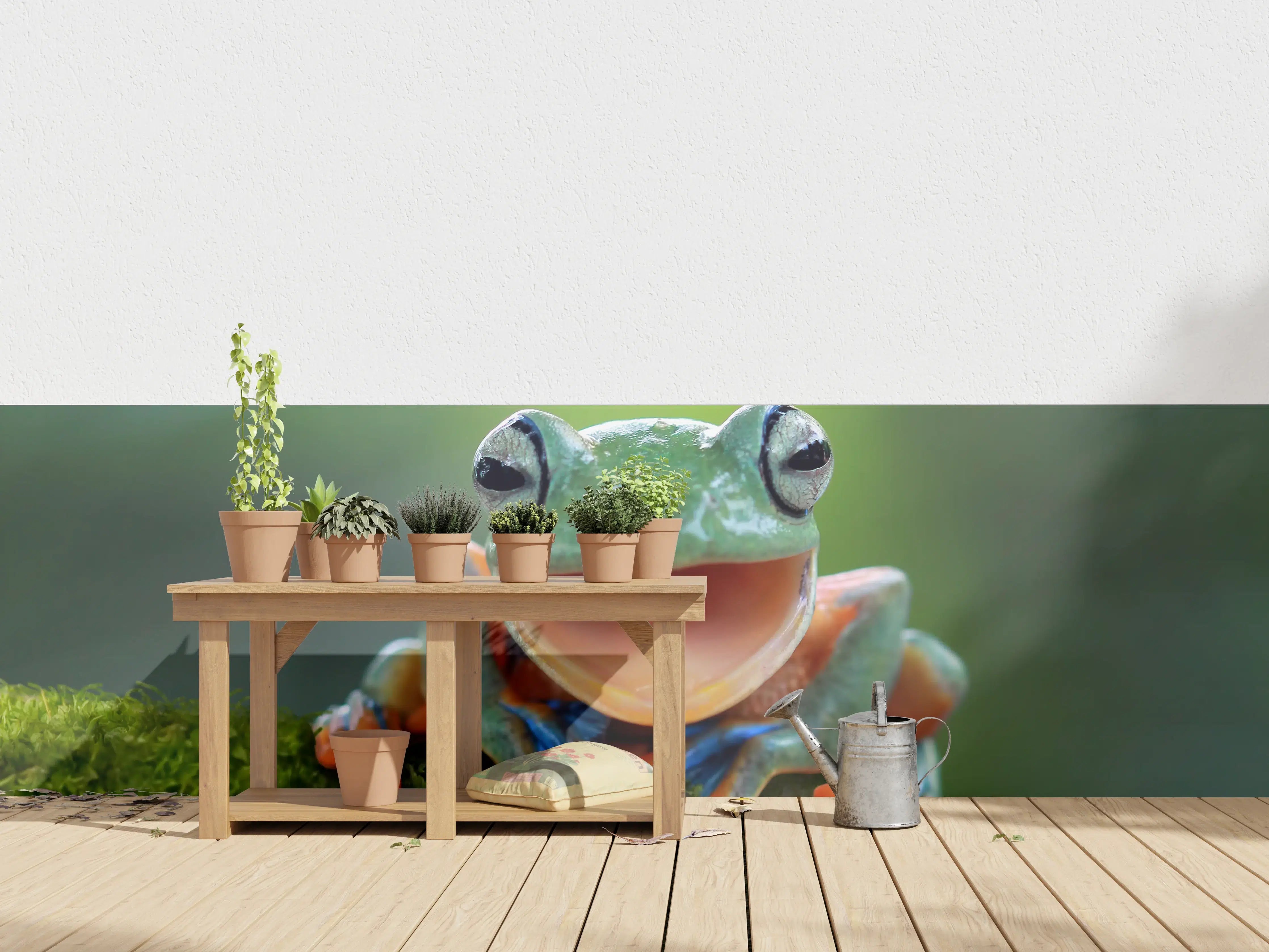 Wandverkleidung außen - niedlicher Laubfrosch in Nahaufnahme