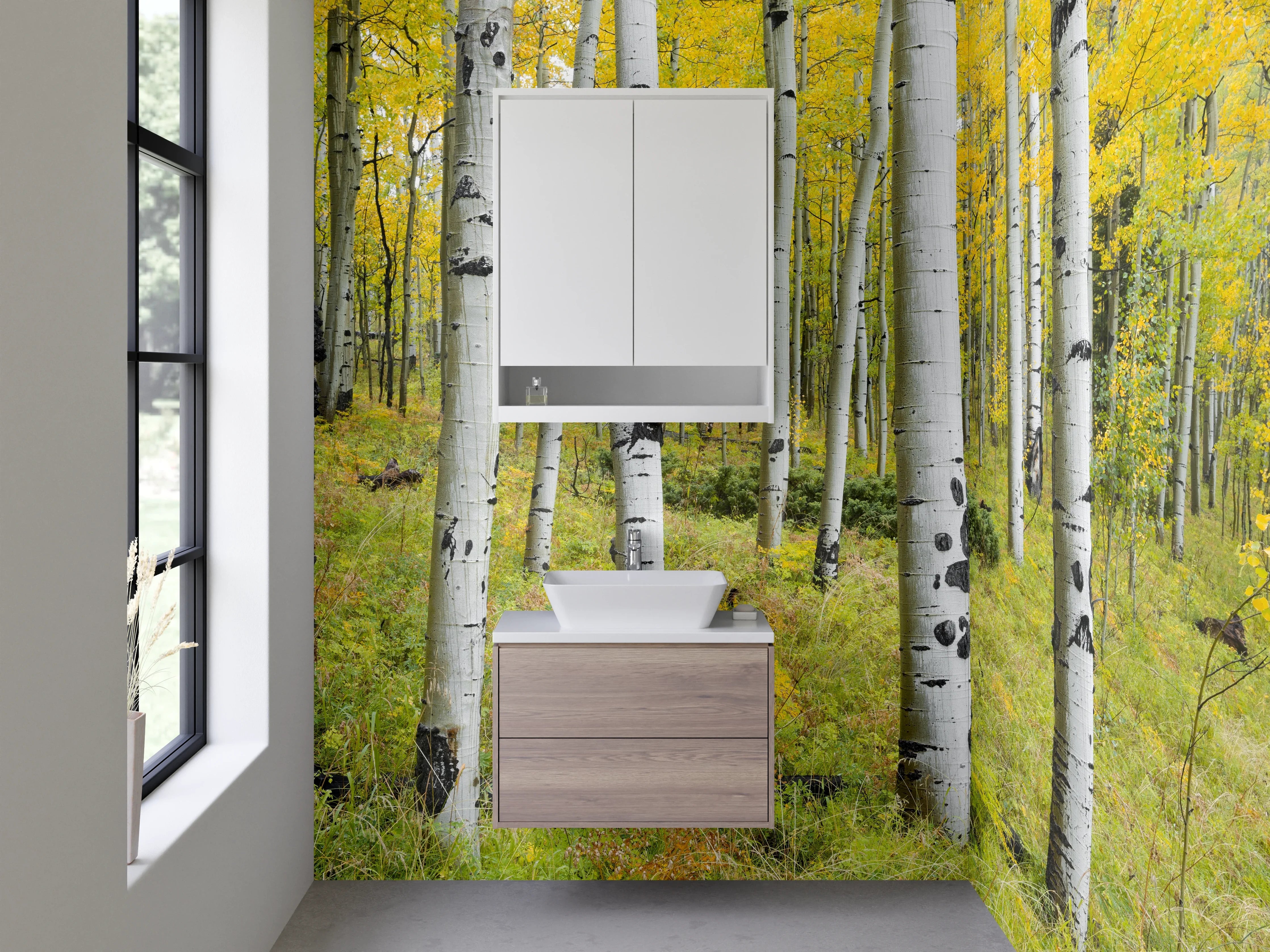 Waschbecken-Rückwand - Birkenwald im Frühling – Natur-Design