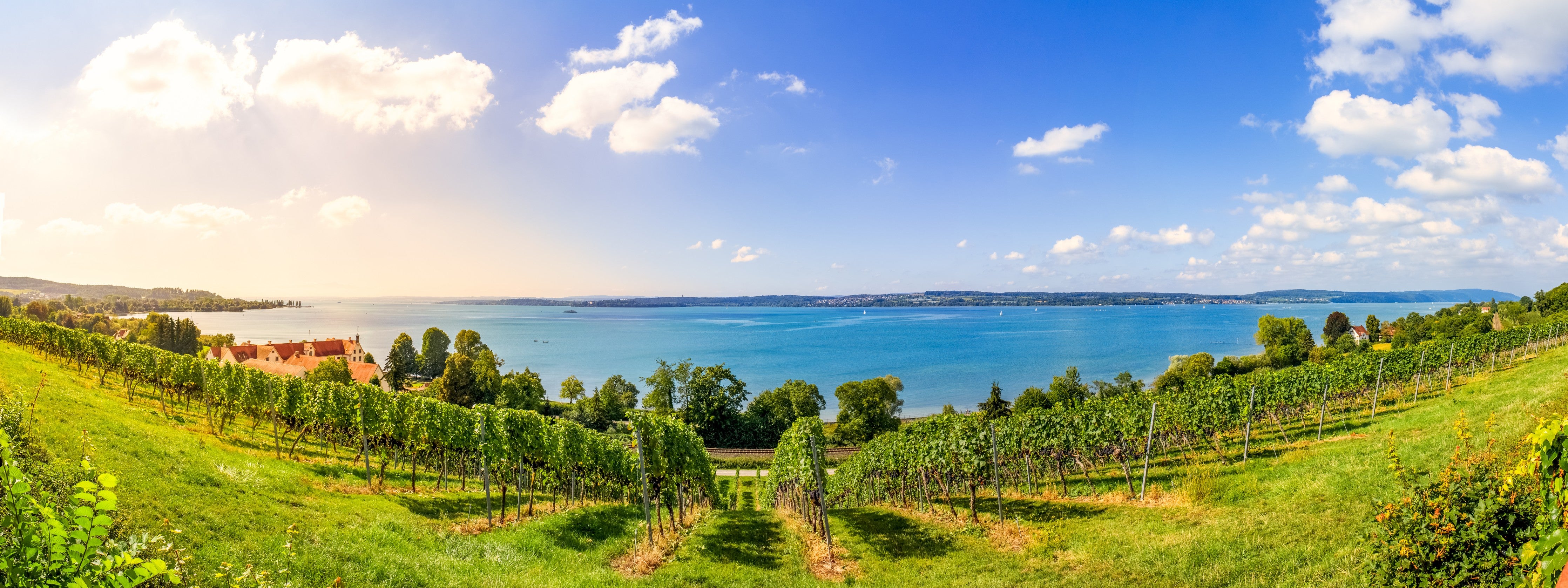 Waschbecken-Rückwand-Blick auf den See mit Weinbergen bei Sonnenschein