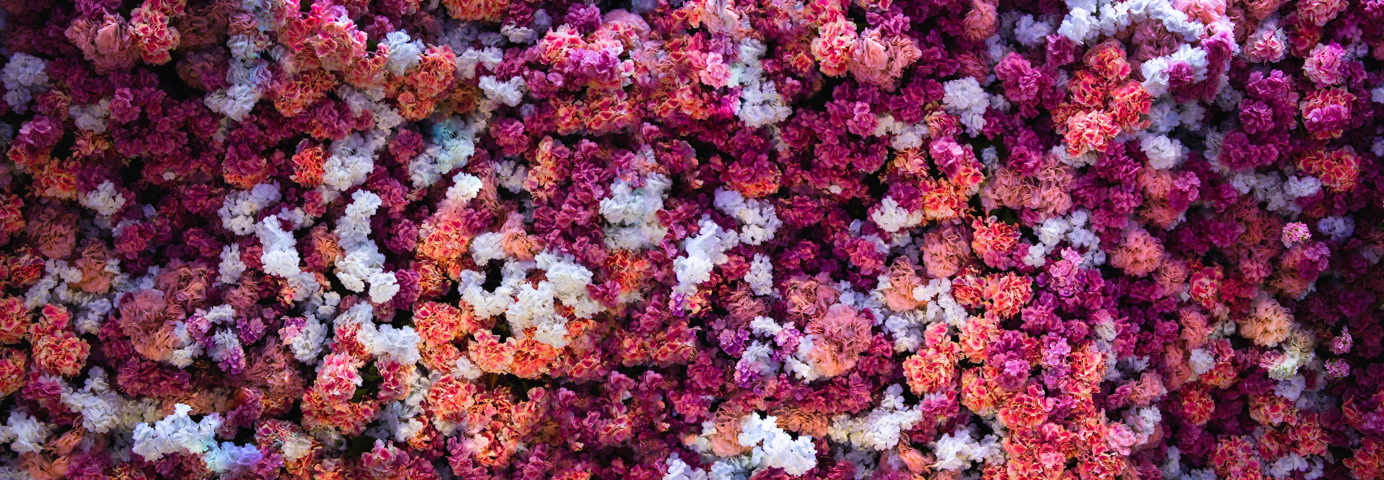 Waschbecken-Rückwand-Blumenmeer in Rosa und Pink