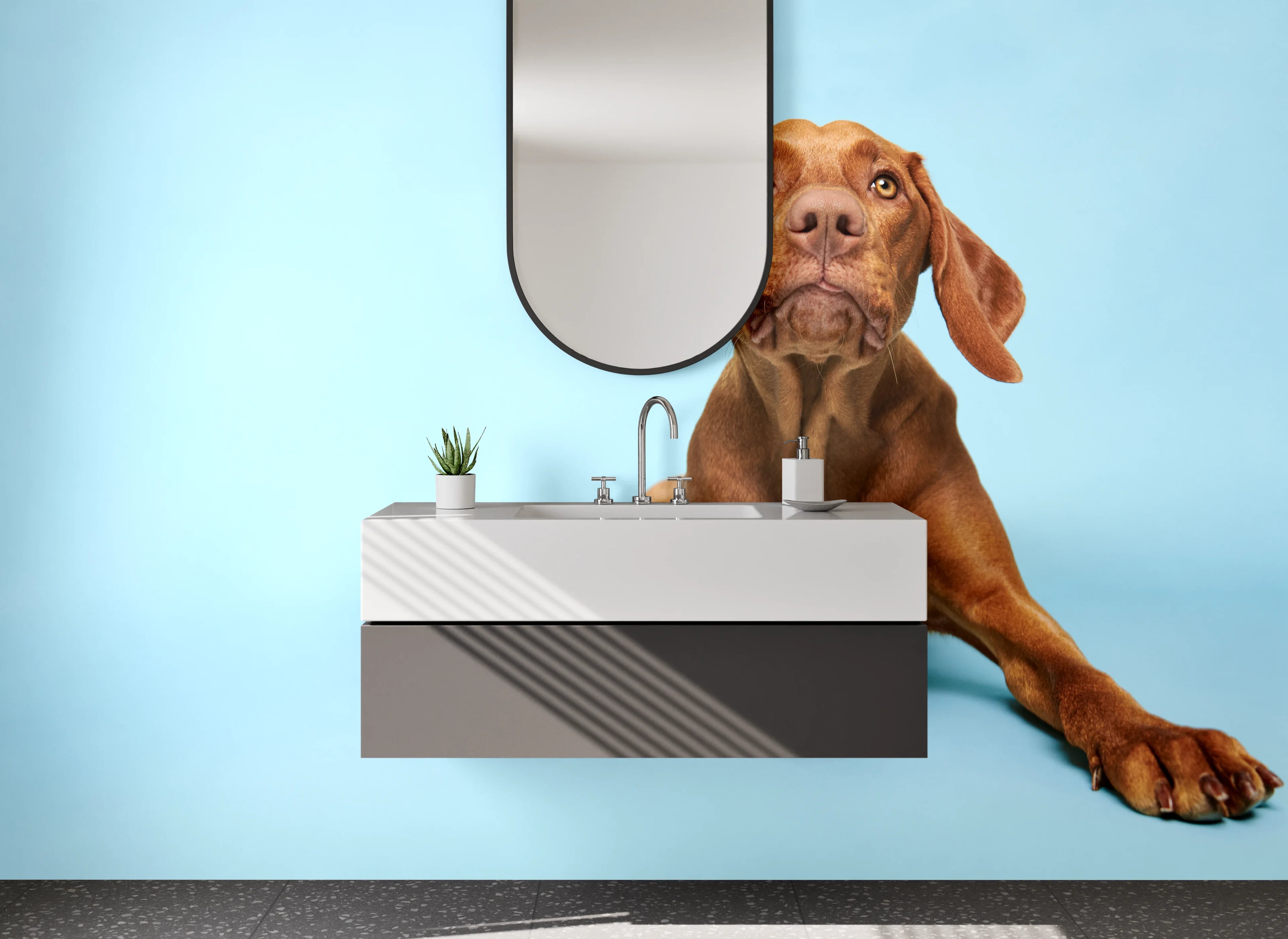Waschbecken-Rückwand - Brauner Hund auf Blau – Tiermotiv