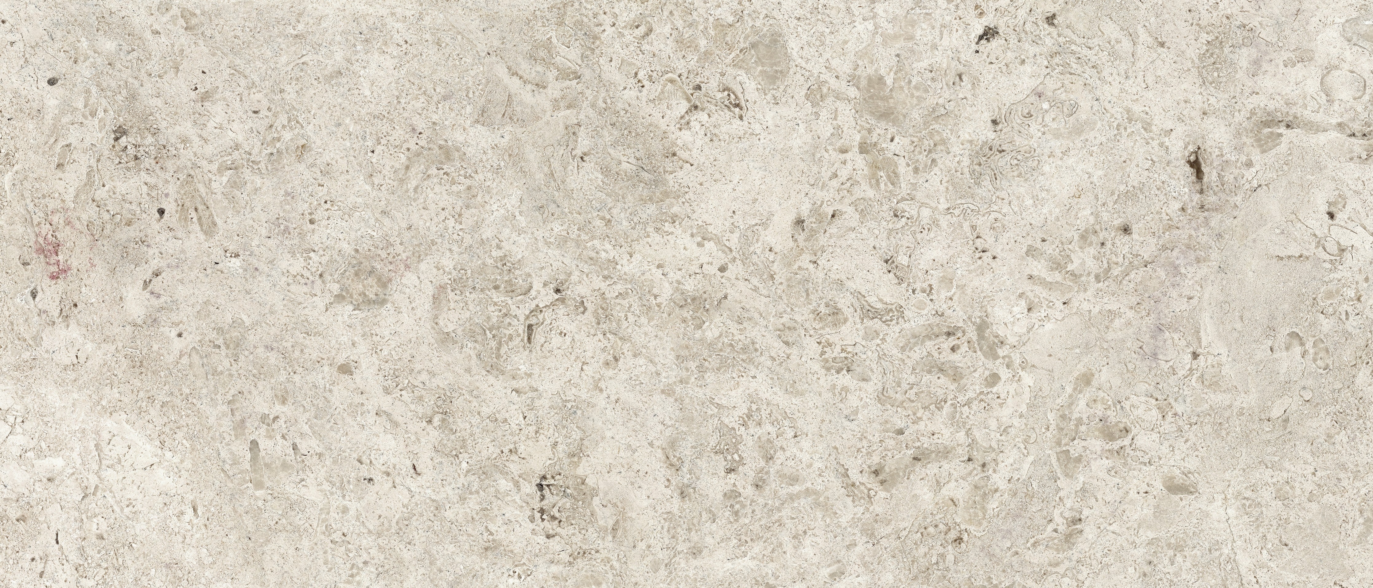 Waschbecken-Rückwand-Elegantes Weiß-Grau Kalkstein Design