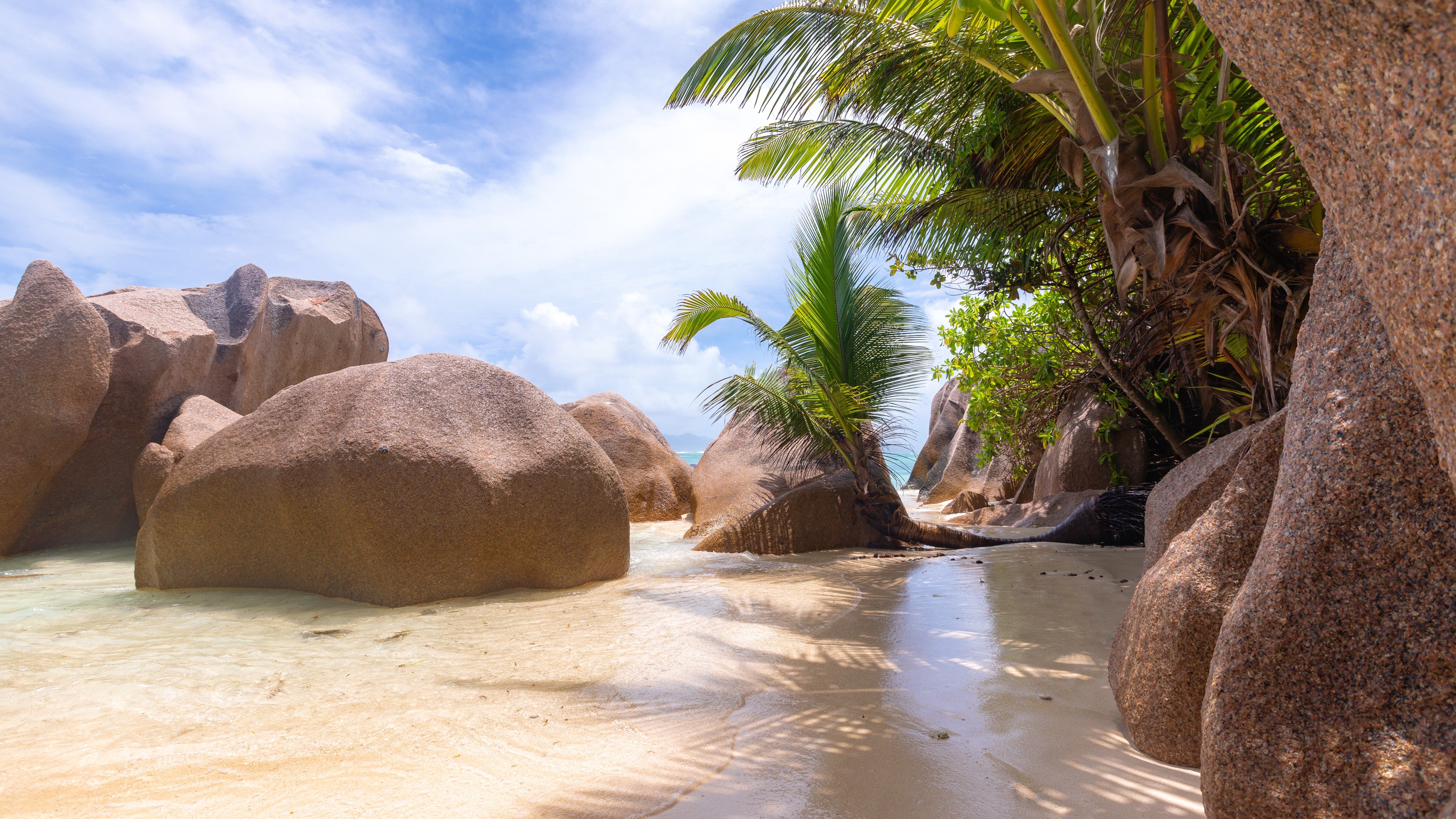 Waschbecken-Rückwand-Exotischer Strand mit Granitfelsen