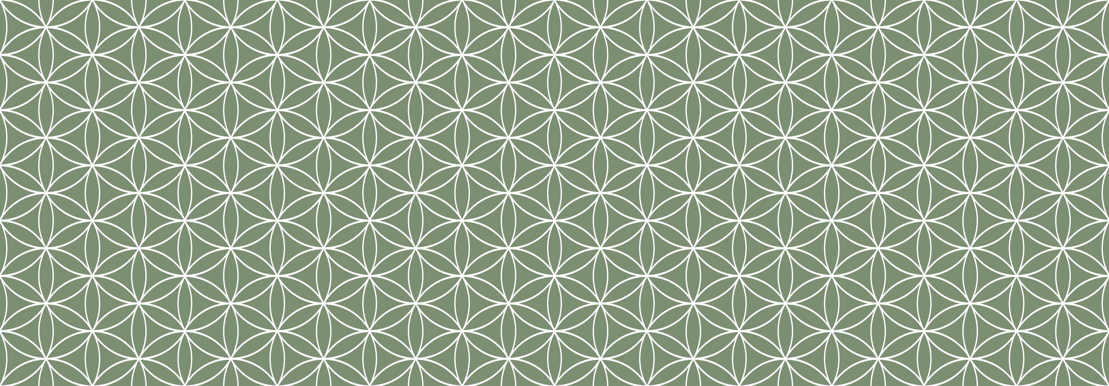 Waschbecken-Rückwand-Geometrisches Muster in Salbeigrün Weiß