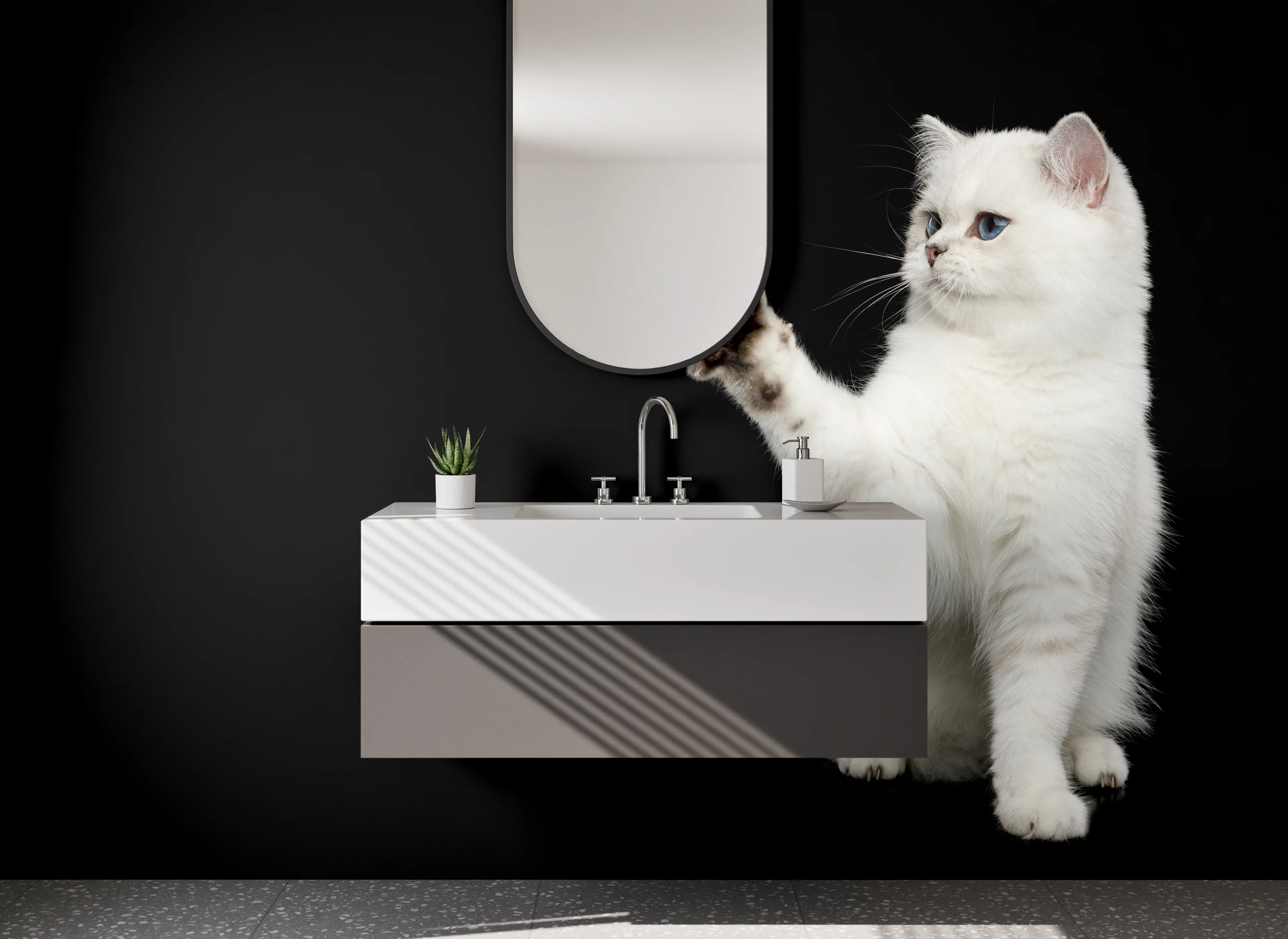 Waschbecken-Rückwand - Grauschimmernde Katze vor Nachtschatten