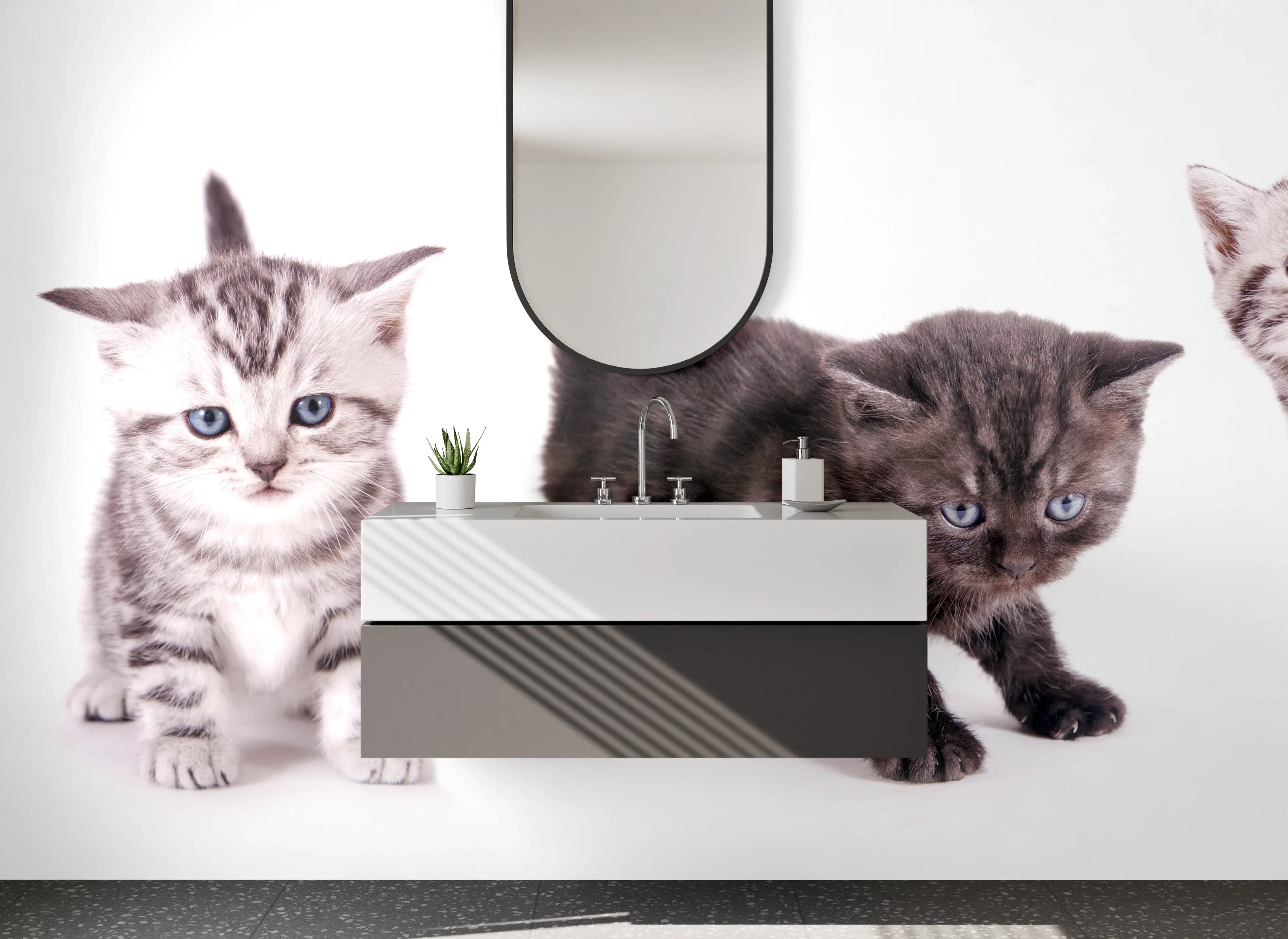 Waschbecken-Rückwand - Katzenbabys auf Weiß – Fotokunst