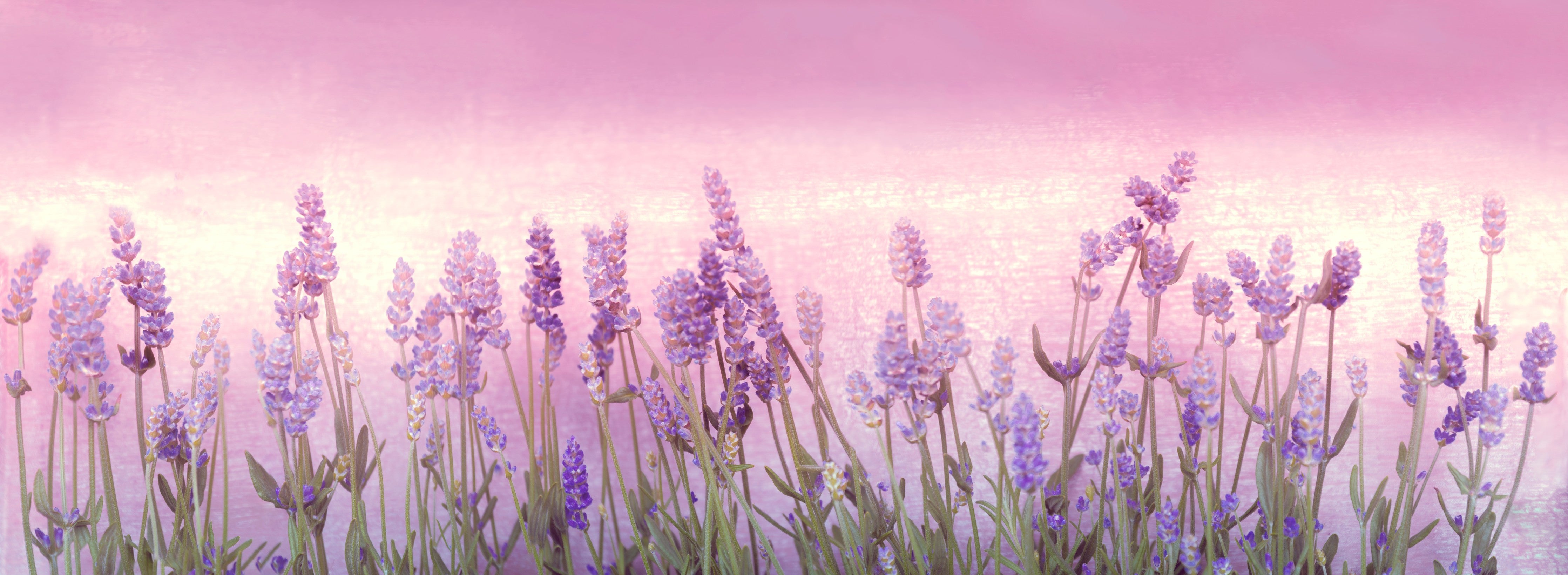 Waschbecken-Rückwand-Lavendel Aquarell Blüten Rosa Lila