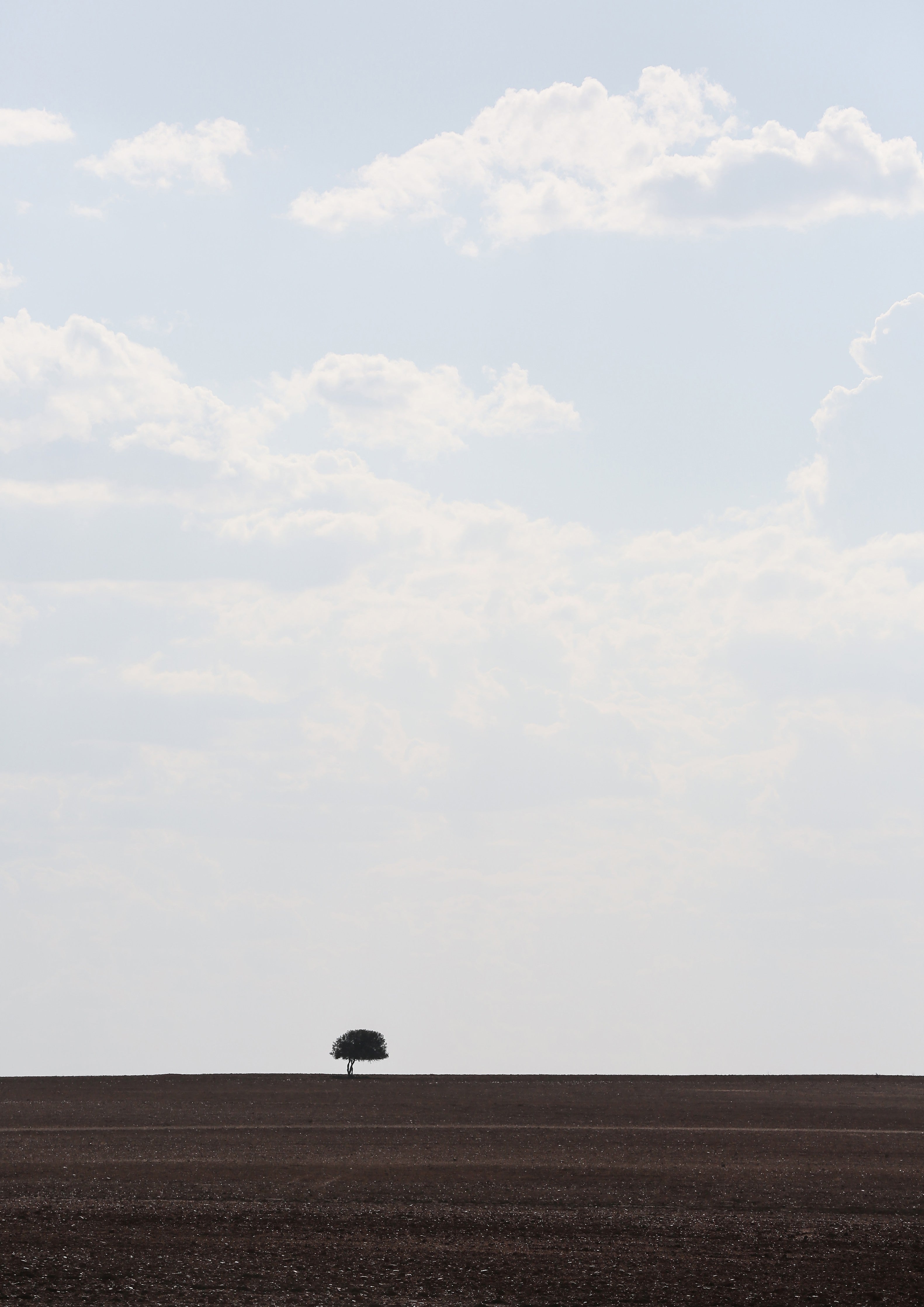 Waschbecken-Rückwand-Minimalistische Landschaft mit Einzelbaum