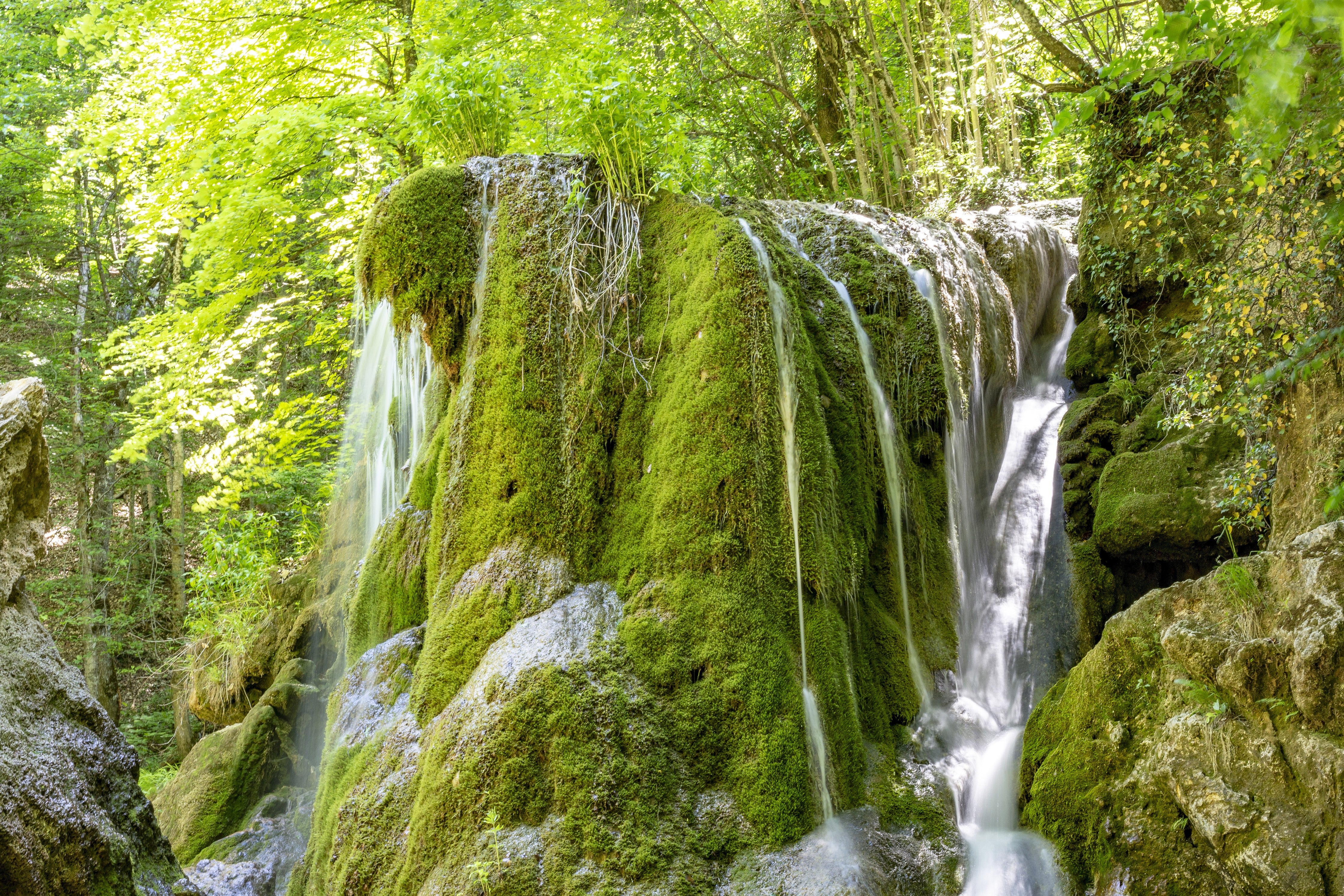 Waschbecken-Rückwand-Natur Wasserfall Grün Moos