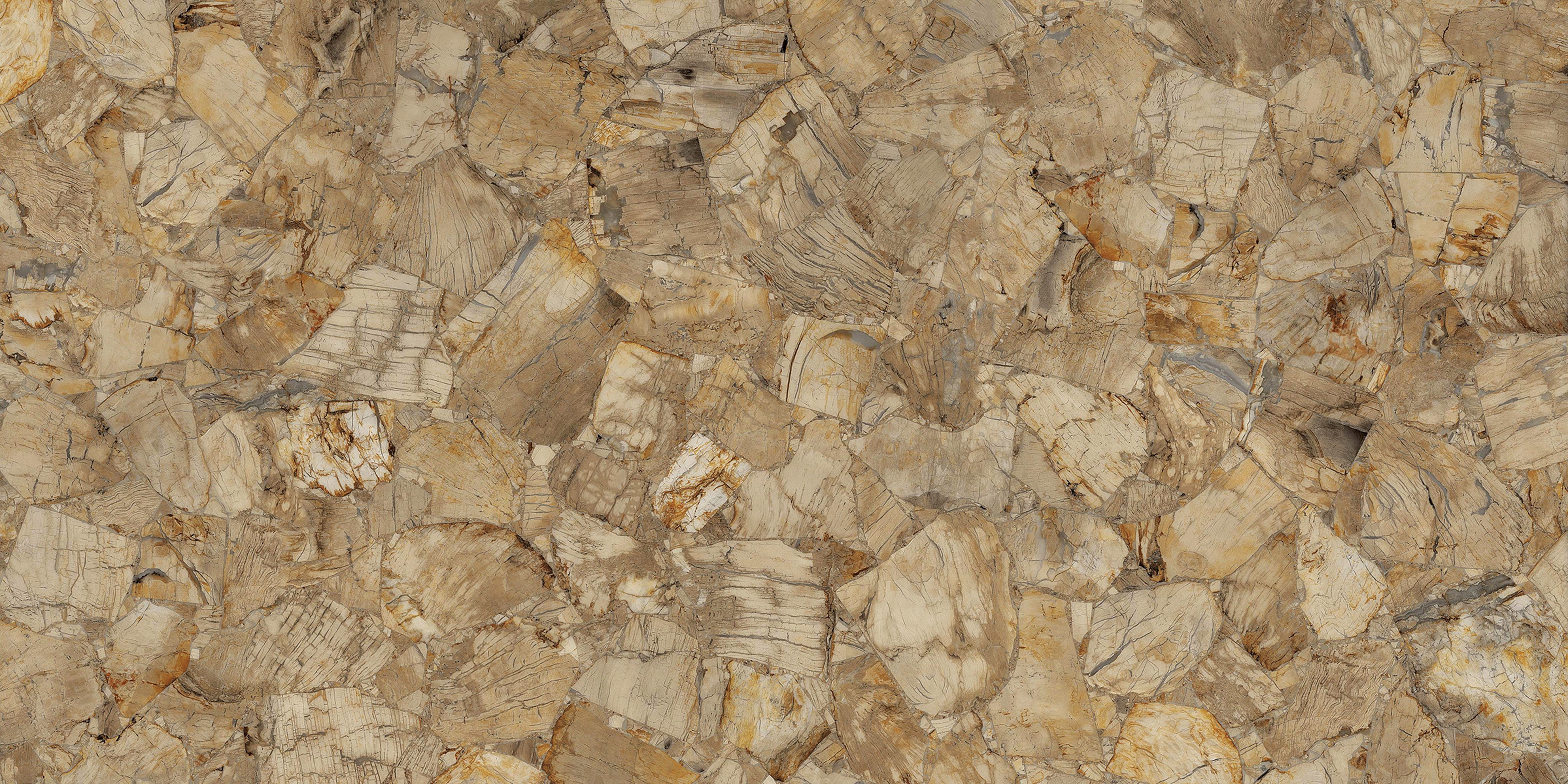 Waschbecken-Rückwand-Petrified Wood Naturstein Motiv