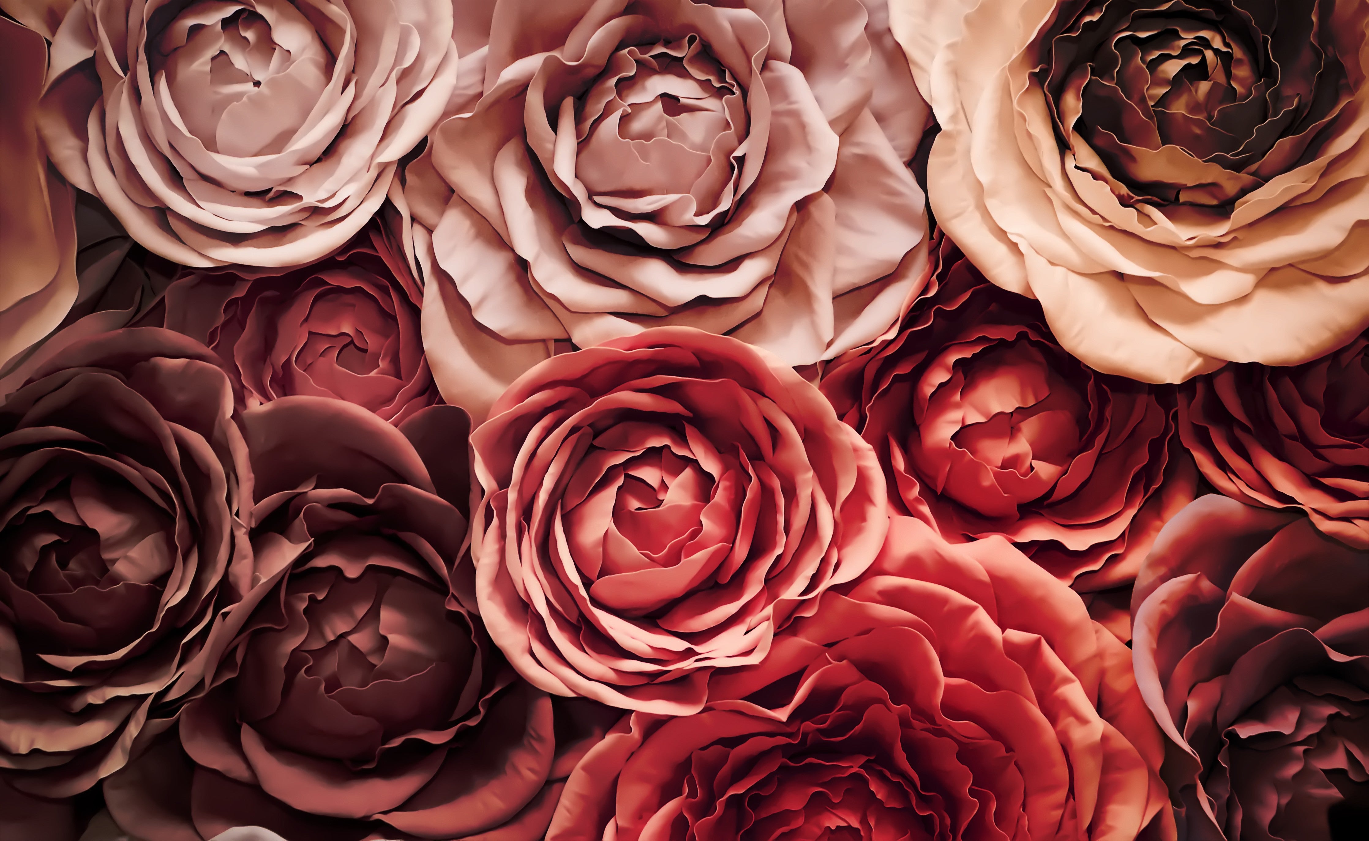 Waschbecken-Rückwand-Romantische Rosen Blütenmeer Fotokunst