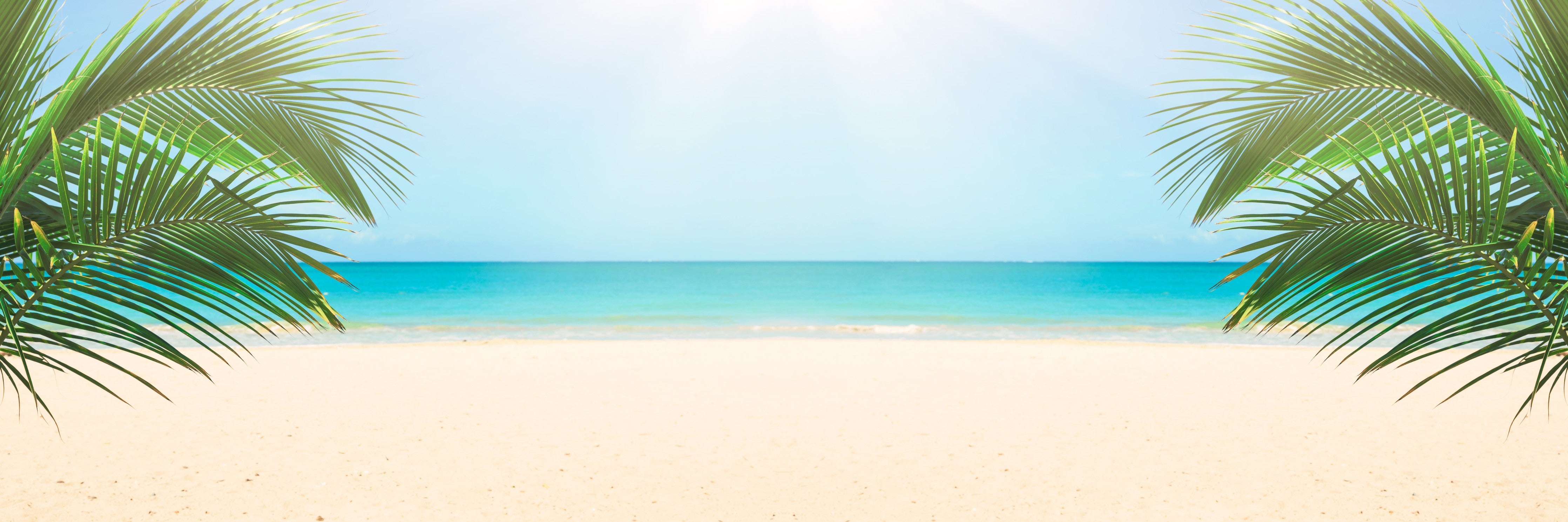 Waschbecken-Rückwand-Sommerlicher Strand mit Palmen
