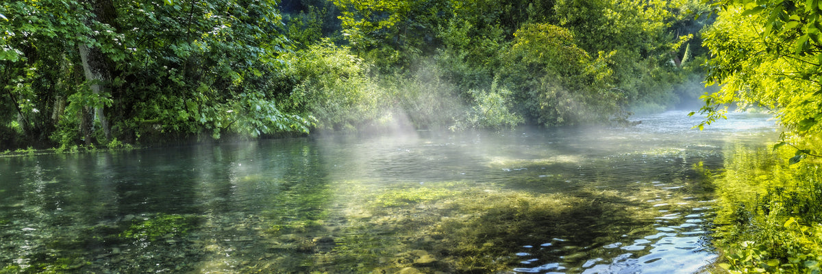Waschbecken-Rückwand-Waldfluss Natur Panoramabild