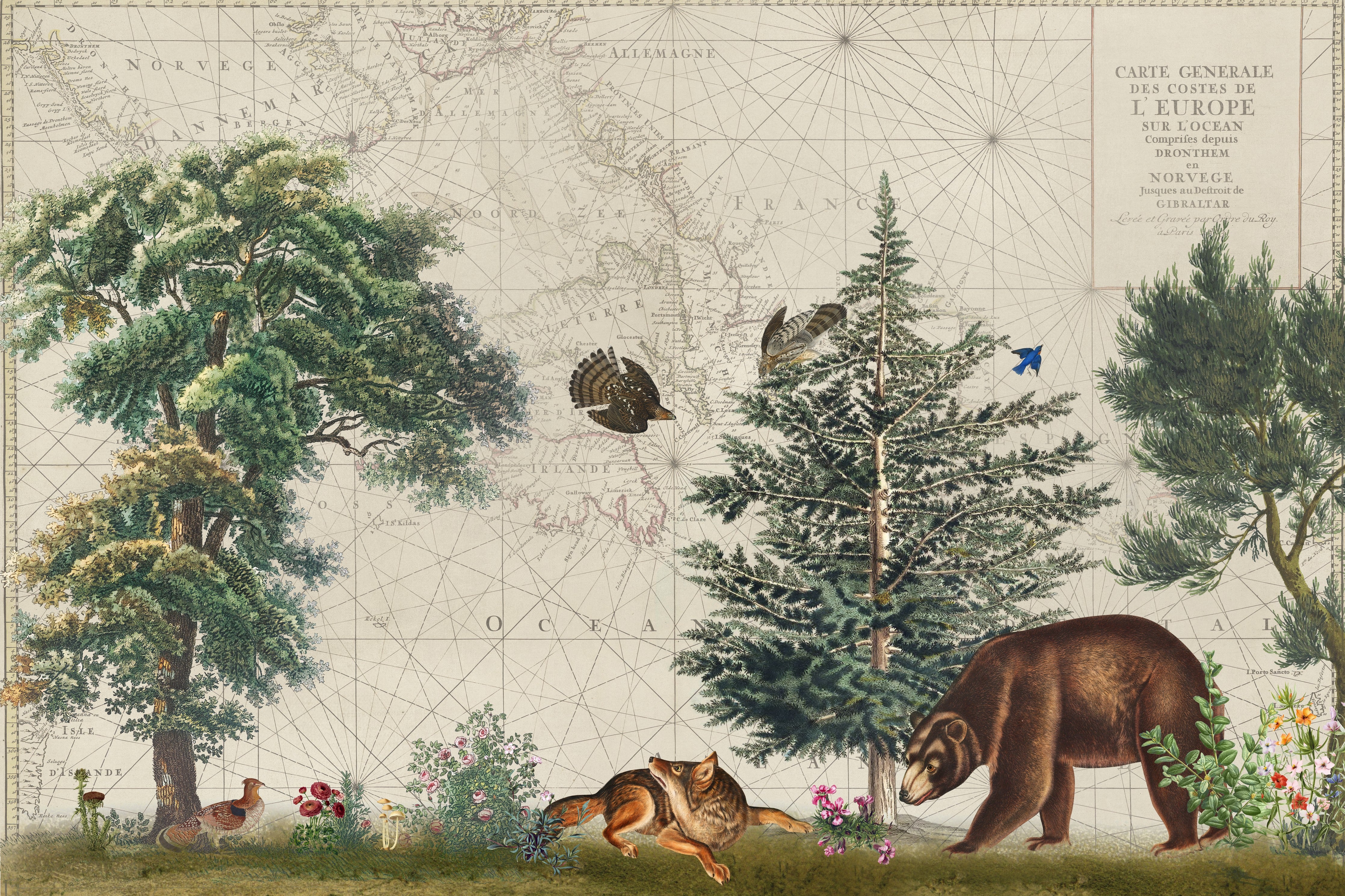 Waschbecken-Rückwand-Waldtiere Vintage Karte Illustration