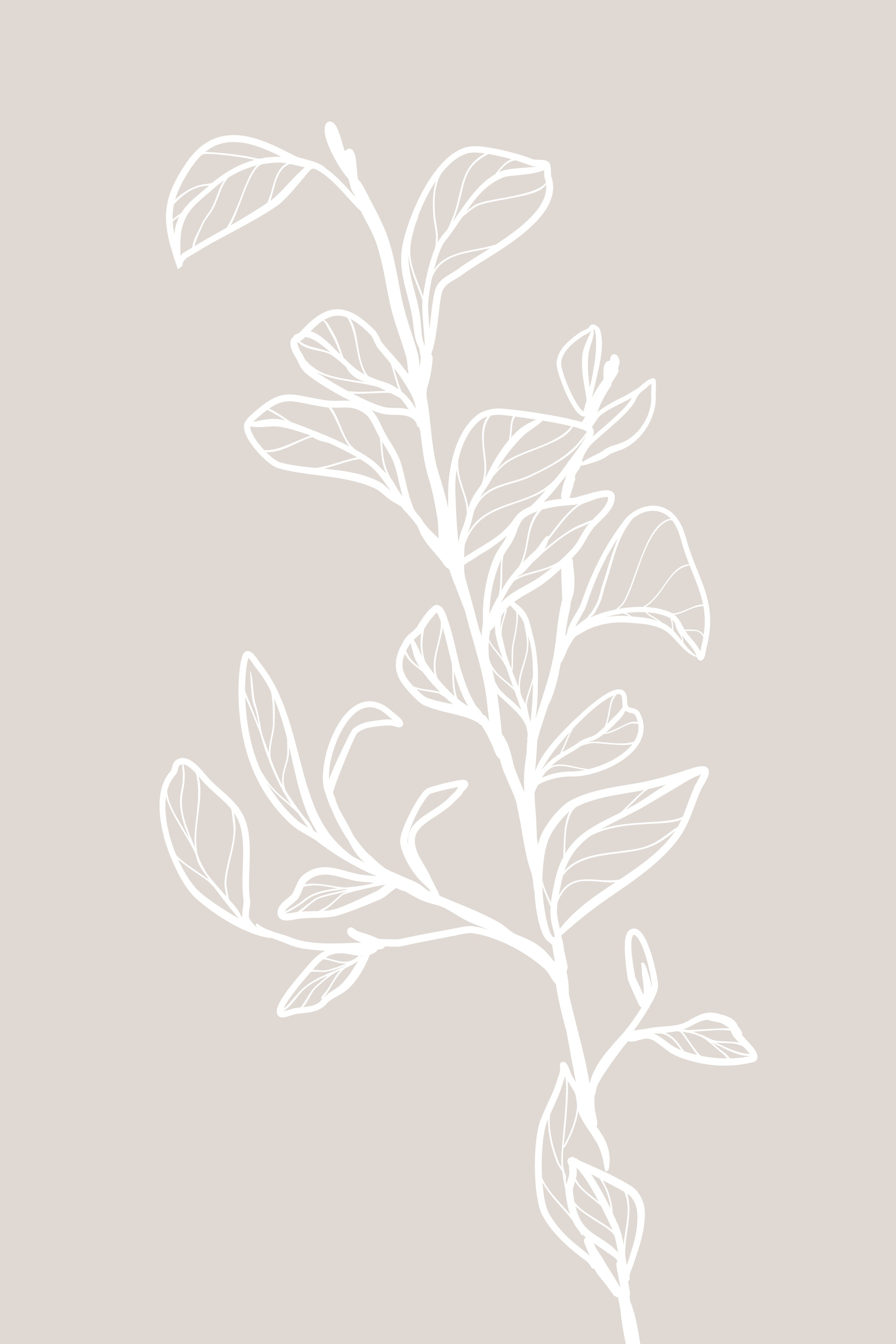 Waschbecken-Rückwand-Weiße Lineart Zweig auf Beigeton