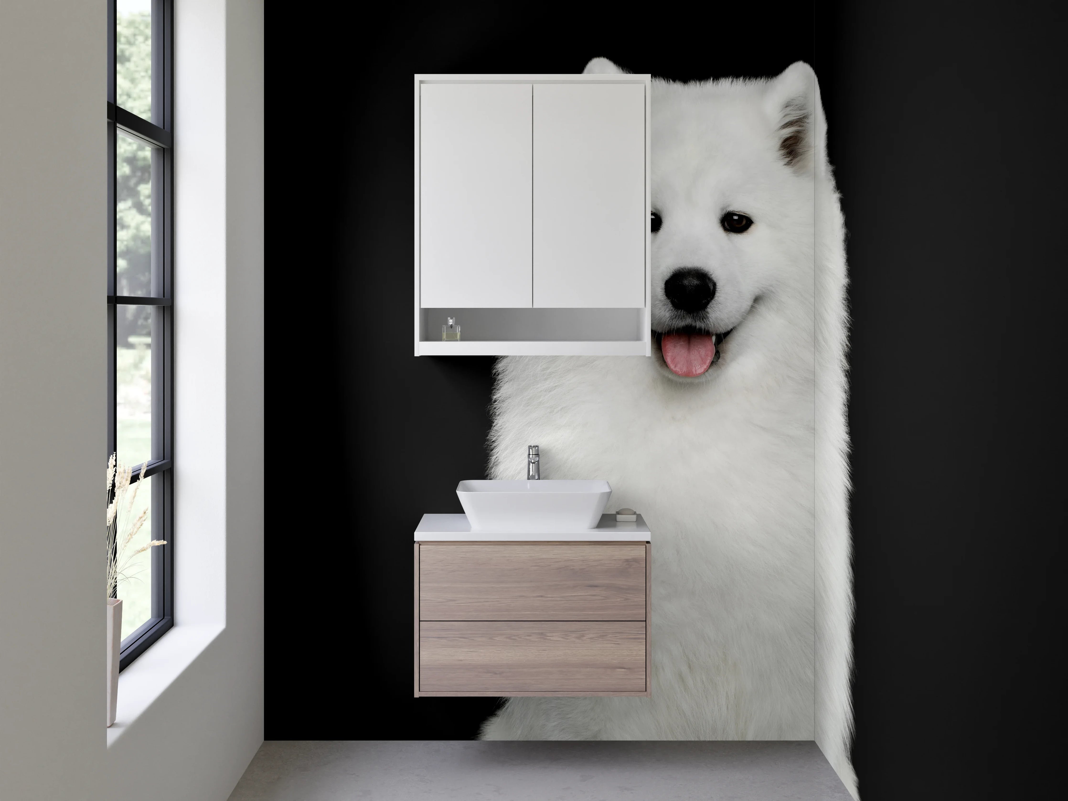 Waschbecken-Rückwand - Weißer Samojede Hund auf schwarzem Hintergrund