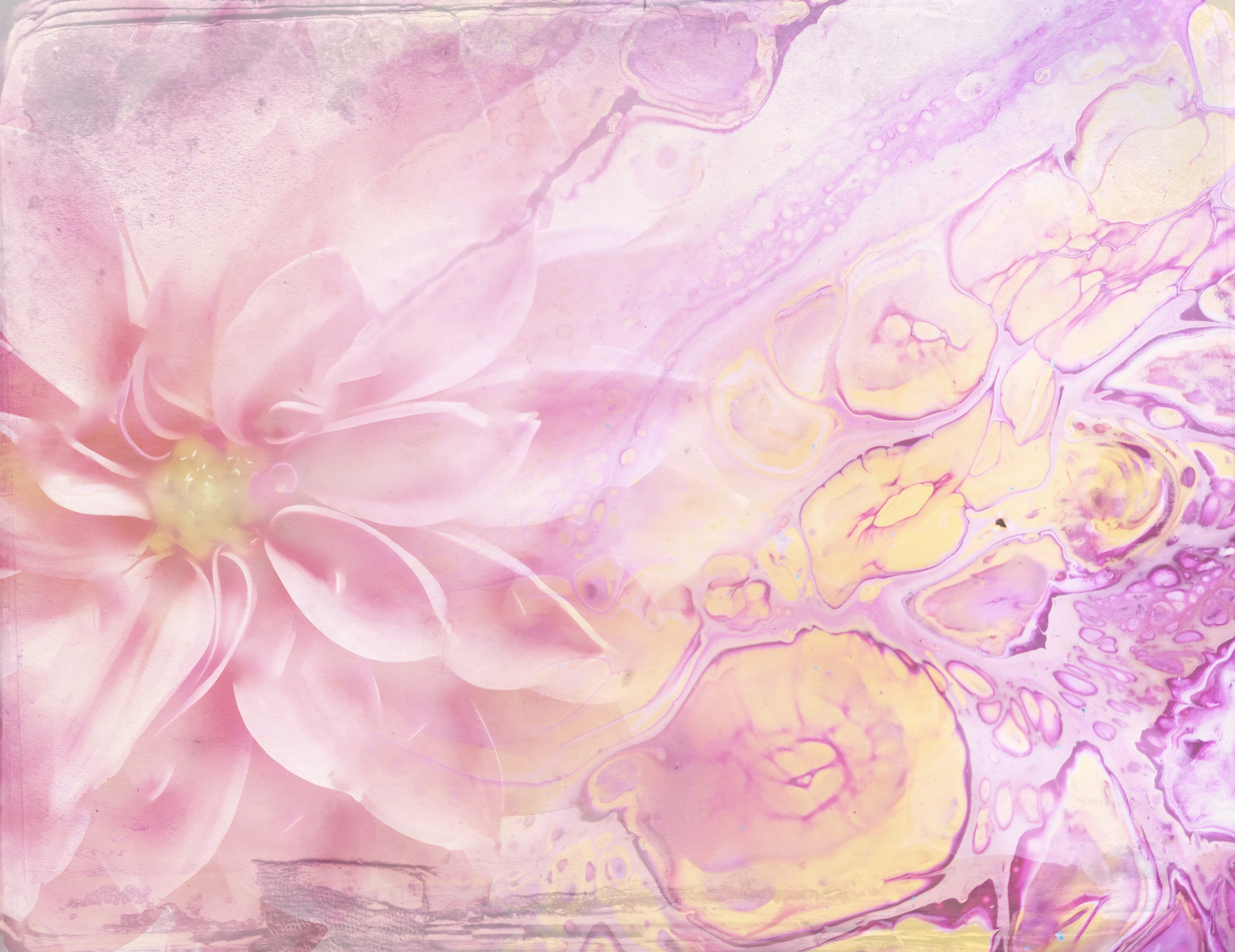 Waschbecken-Rückwand-Zarte Blütenpracht in Rosa Aquarell