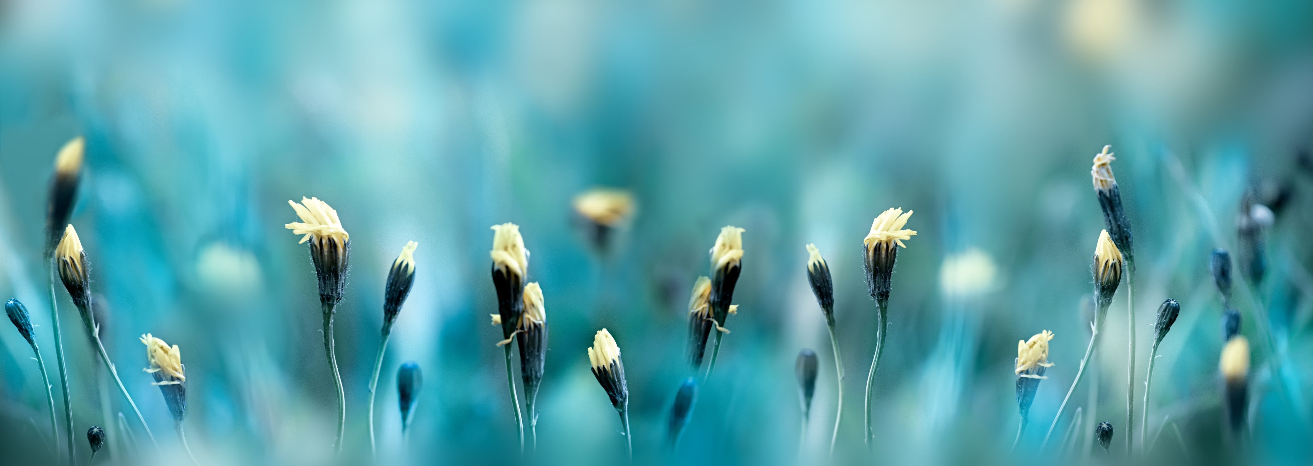 Waschbecken-Rückwand-Zarte Wildblumen auf Türkis