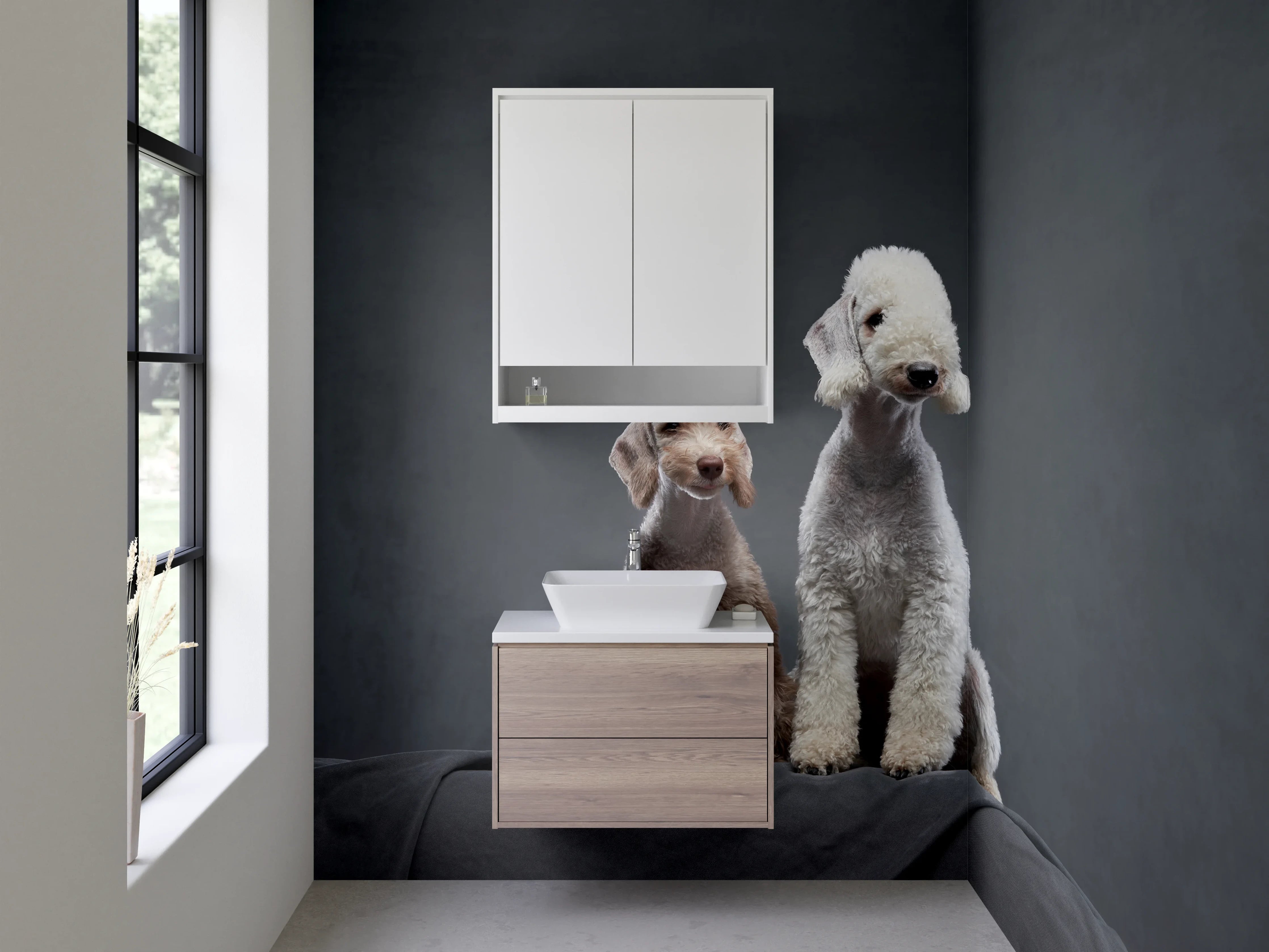 Waschbecken-Rückwand - Zwei Bedlington Terrier Hunde Porträt