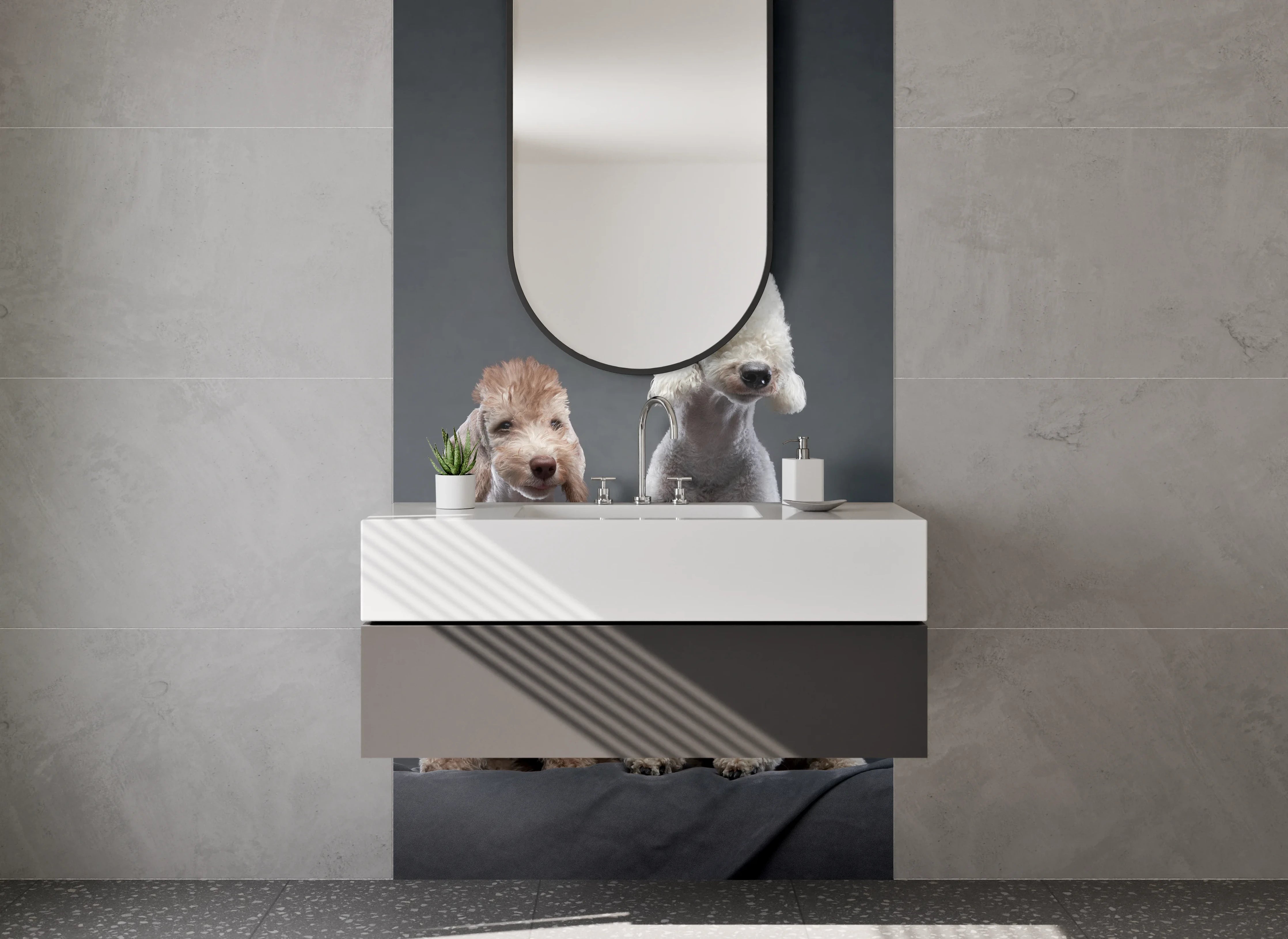 Waschbecken-Rückwand - Zwei Bedlington Terrier Hunde Porträt