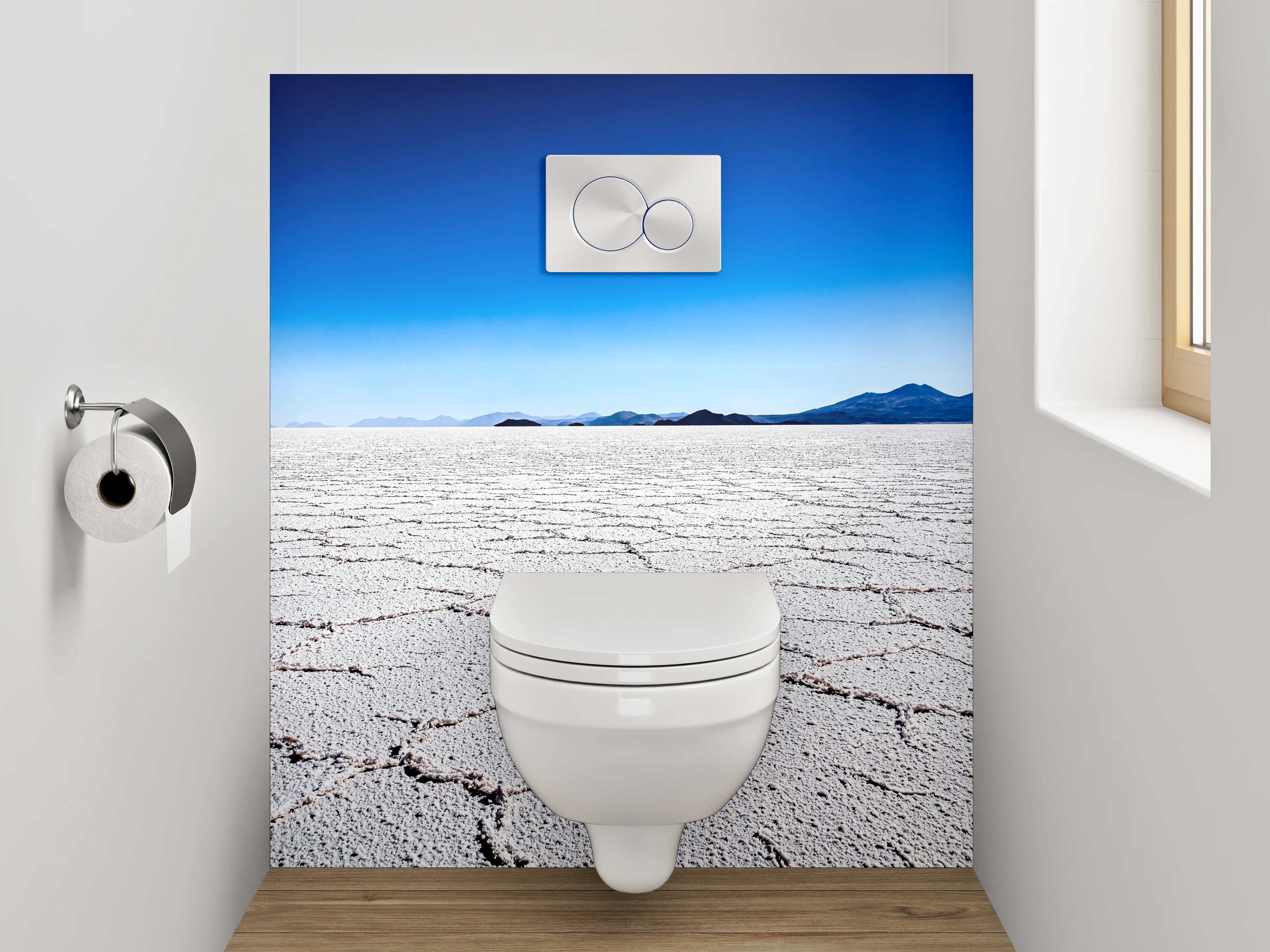 WC-Rückwand - Salzwüste unter klarem Himmel – weiß/grau