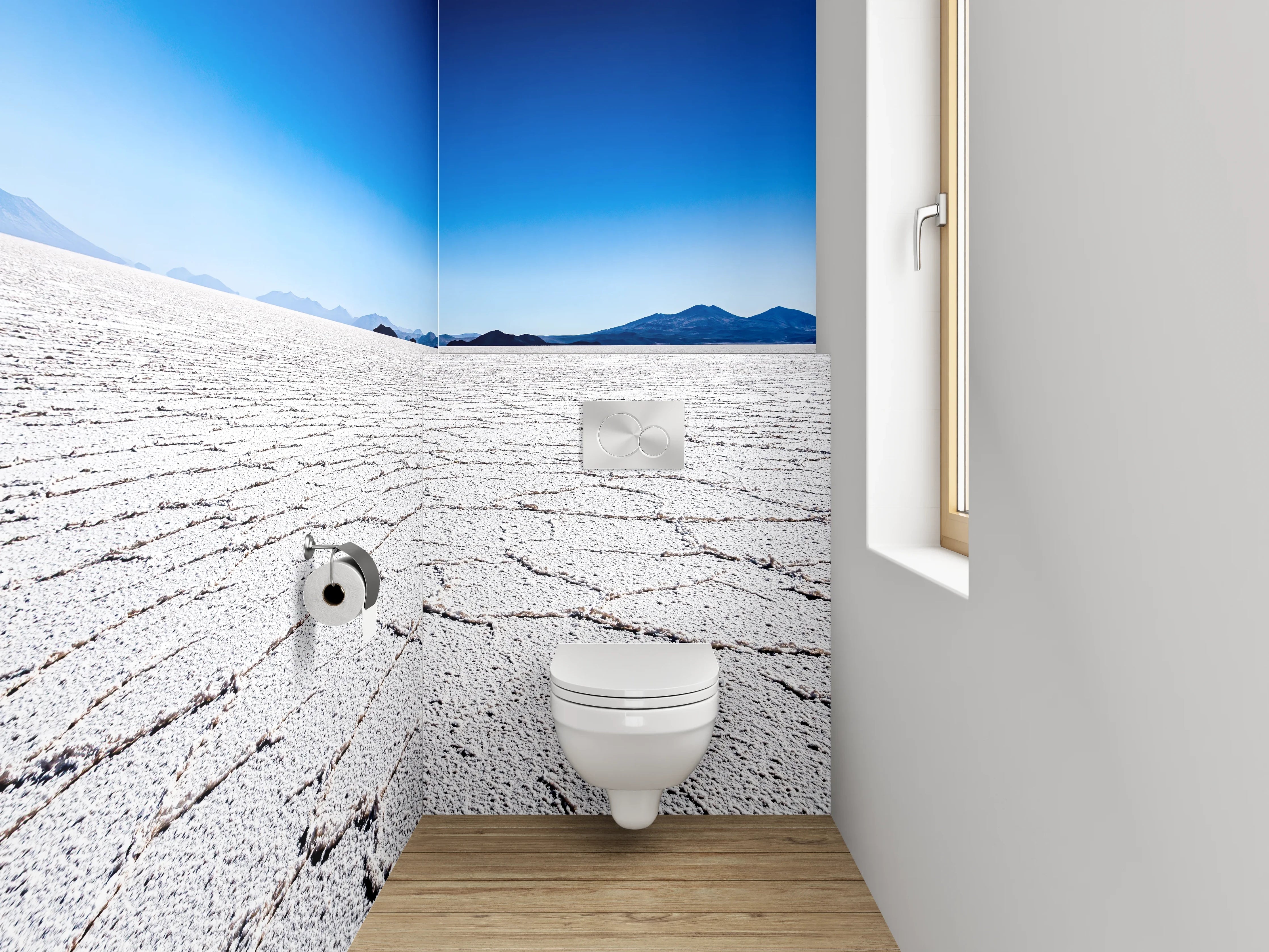 WC-Rückwand - Salzwüste unter klarem Himmel – weiß/grau