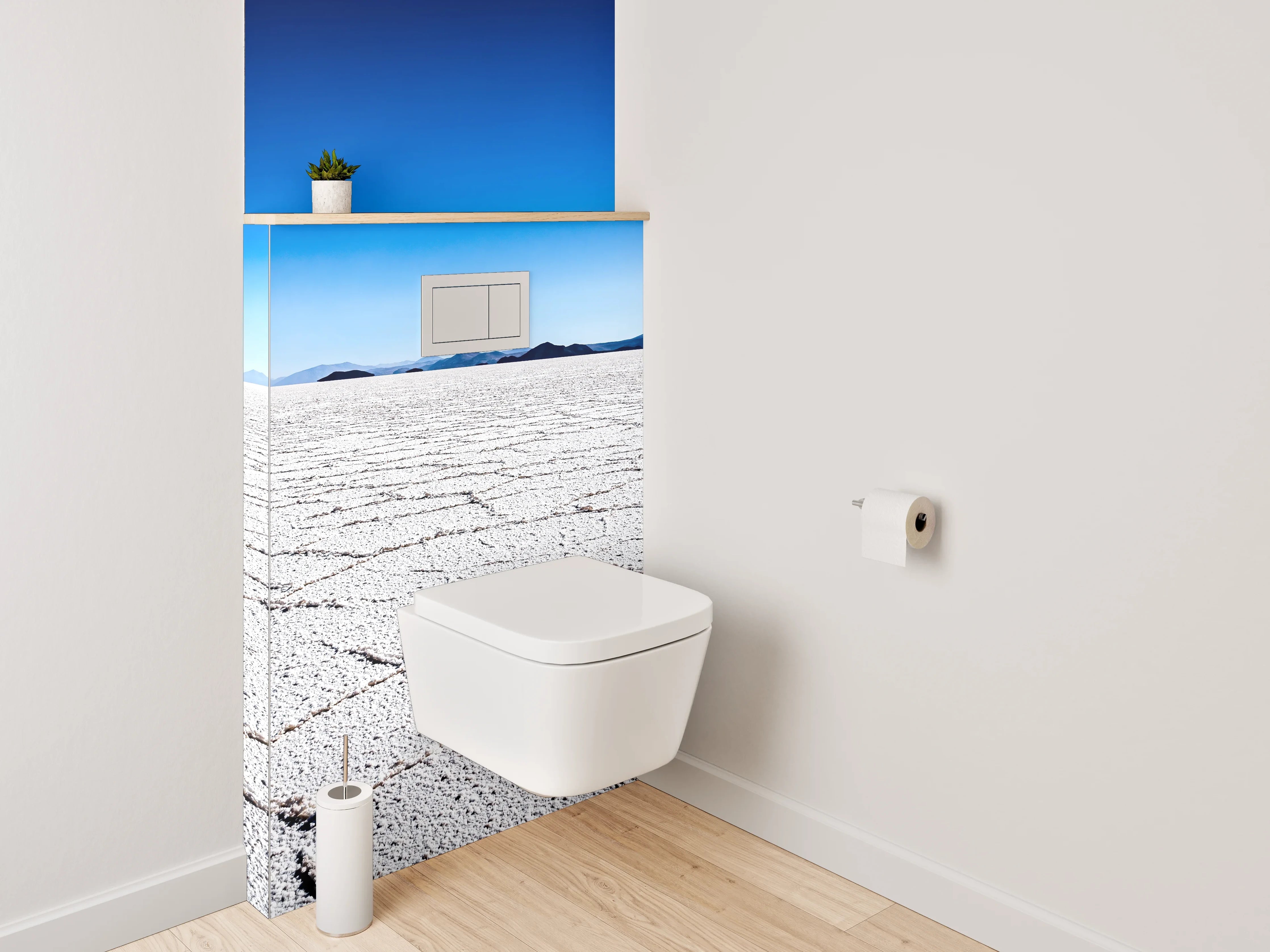 WC-Rückwand - Salzwüste unter klarem Himmel – weiß/grau