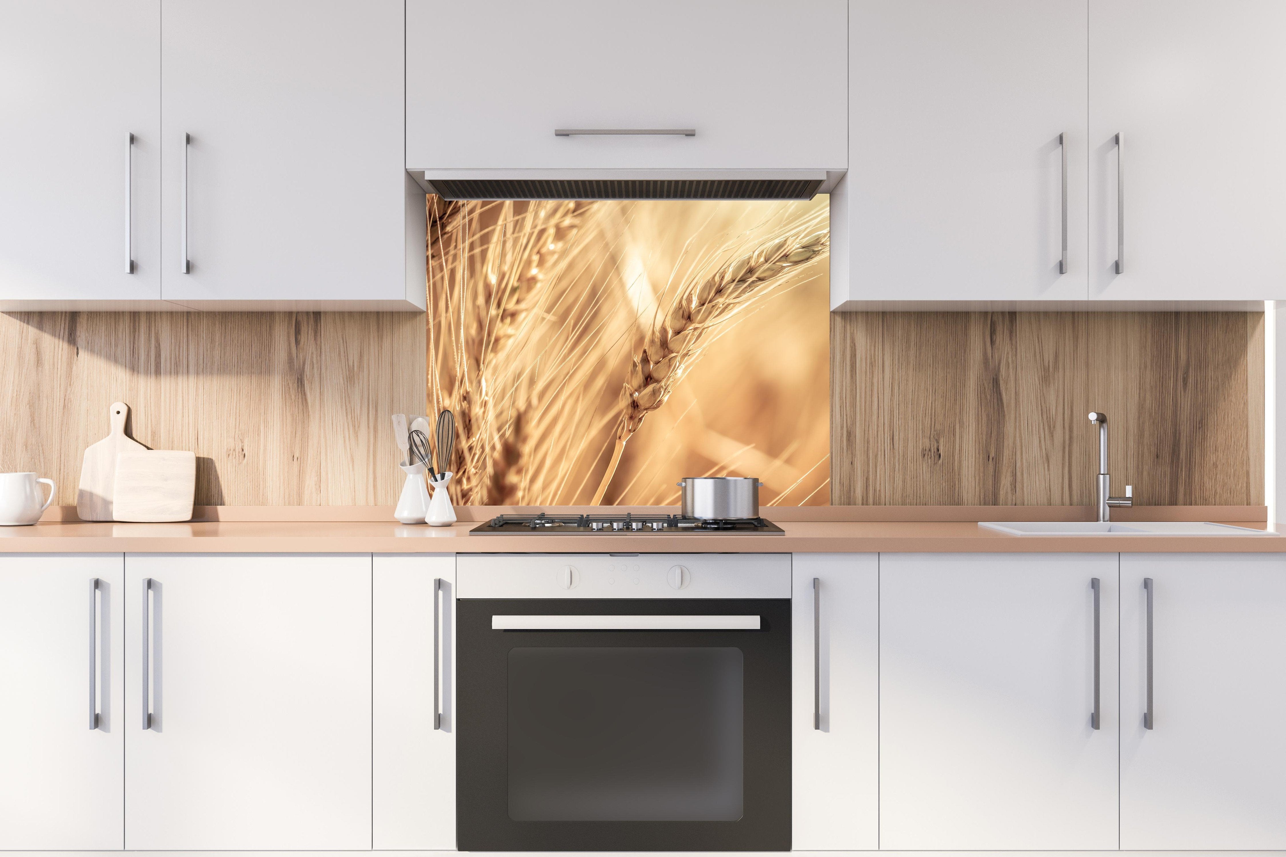 spritzschutz-sp-1700 Variante 2