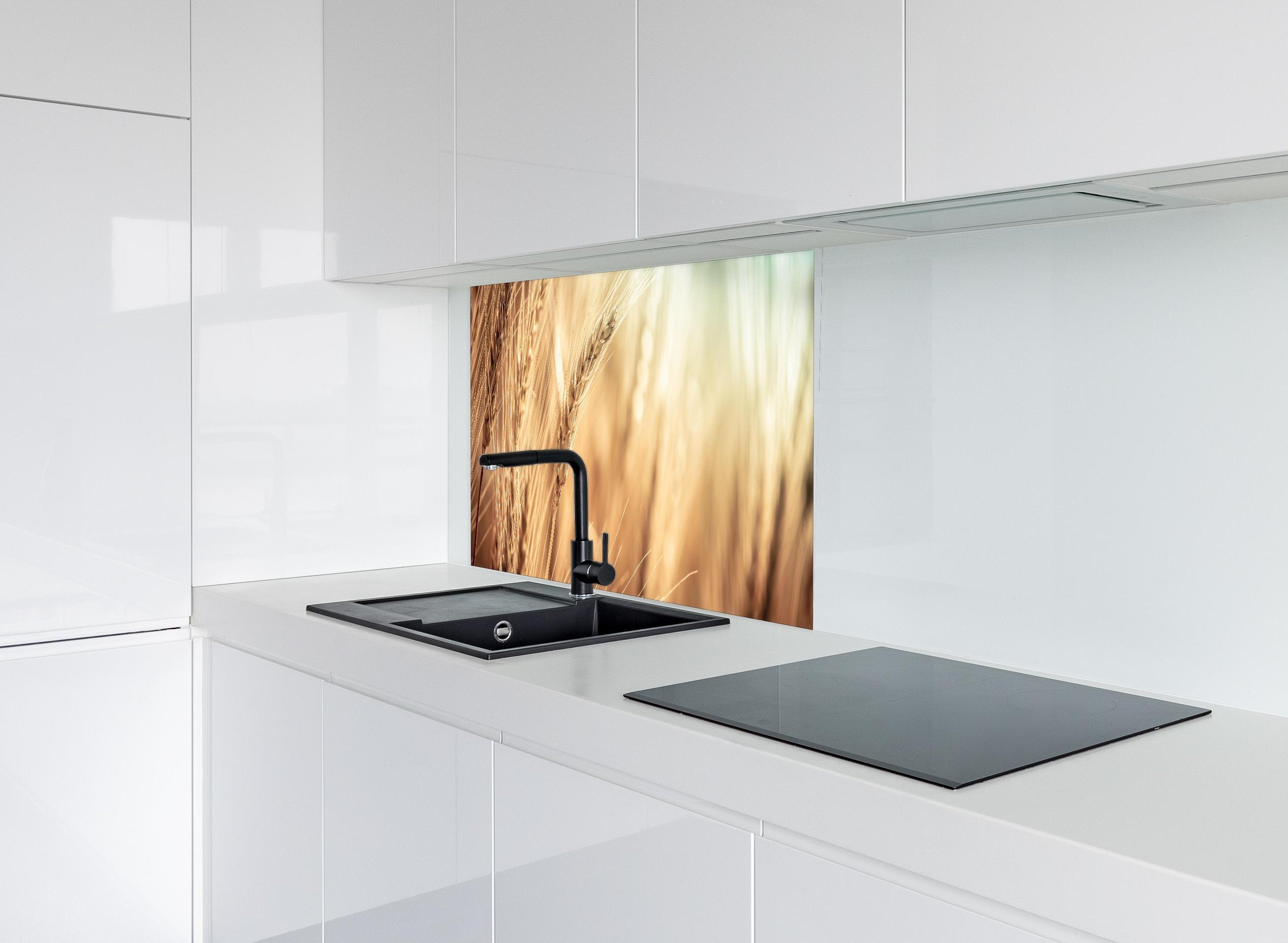 spritzschutz-sp-1700 Variante 4