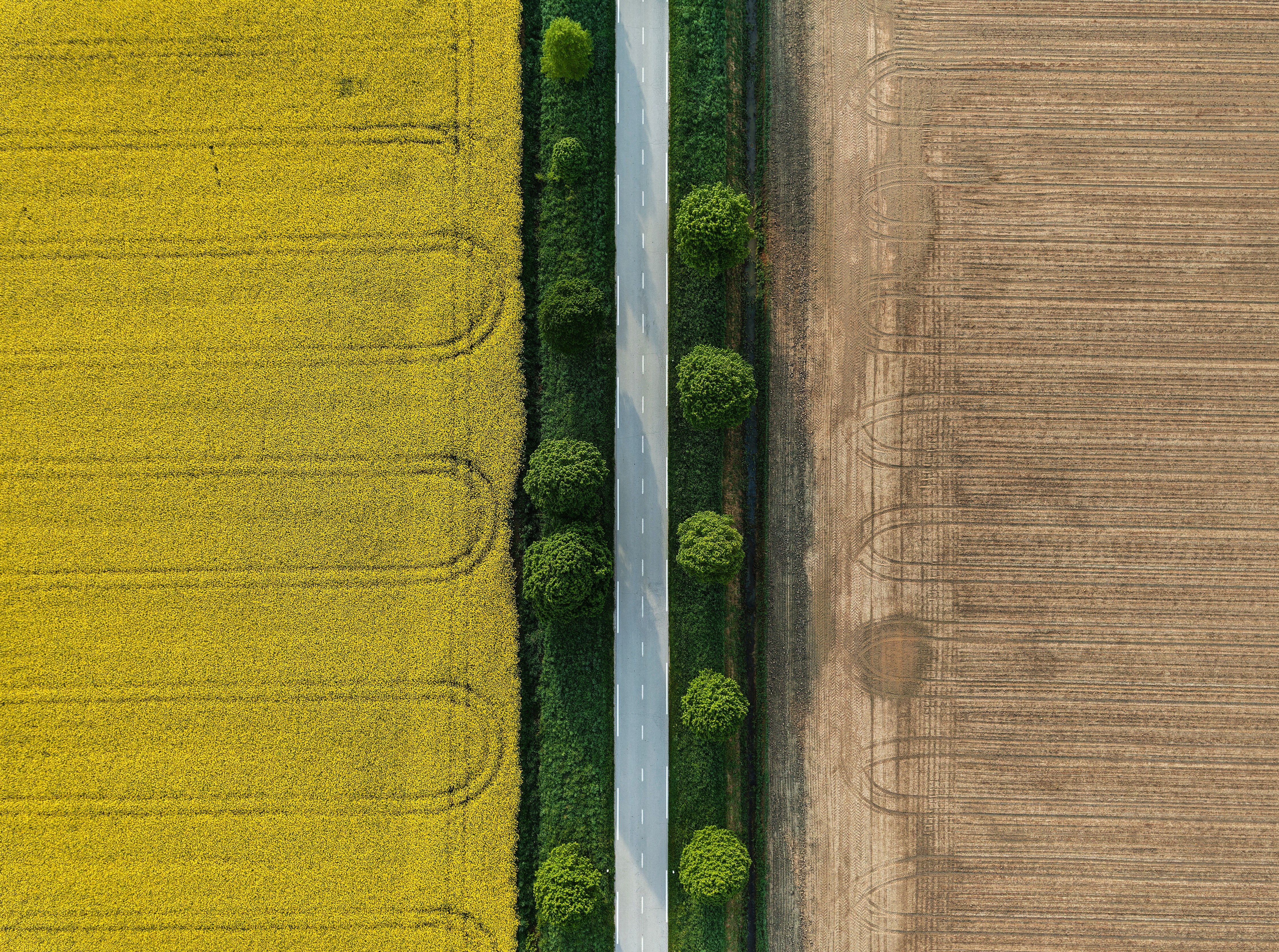 spritzschutz-sp-4031